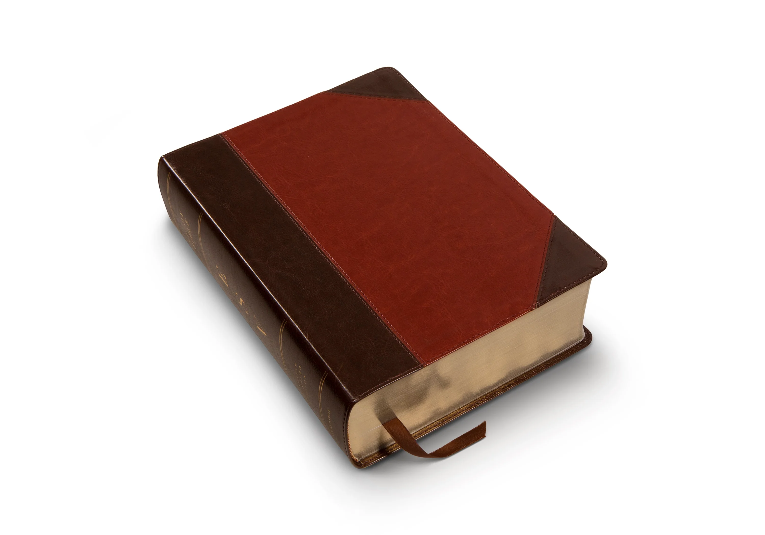 ESV Study Bible, Large Print (TruTone, Brown/Cordovan, Portfolio Design) - Image 7