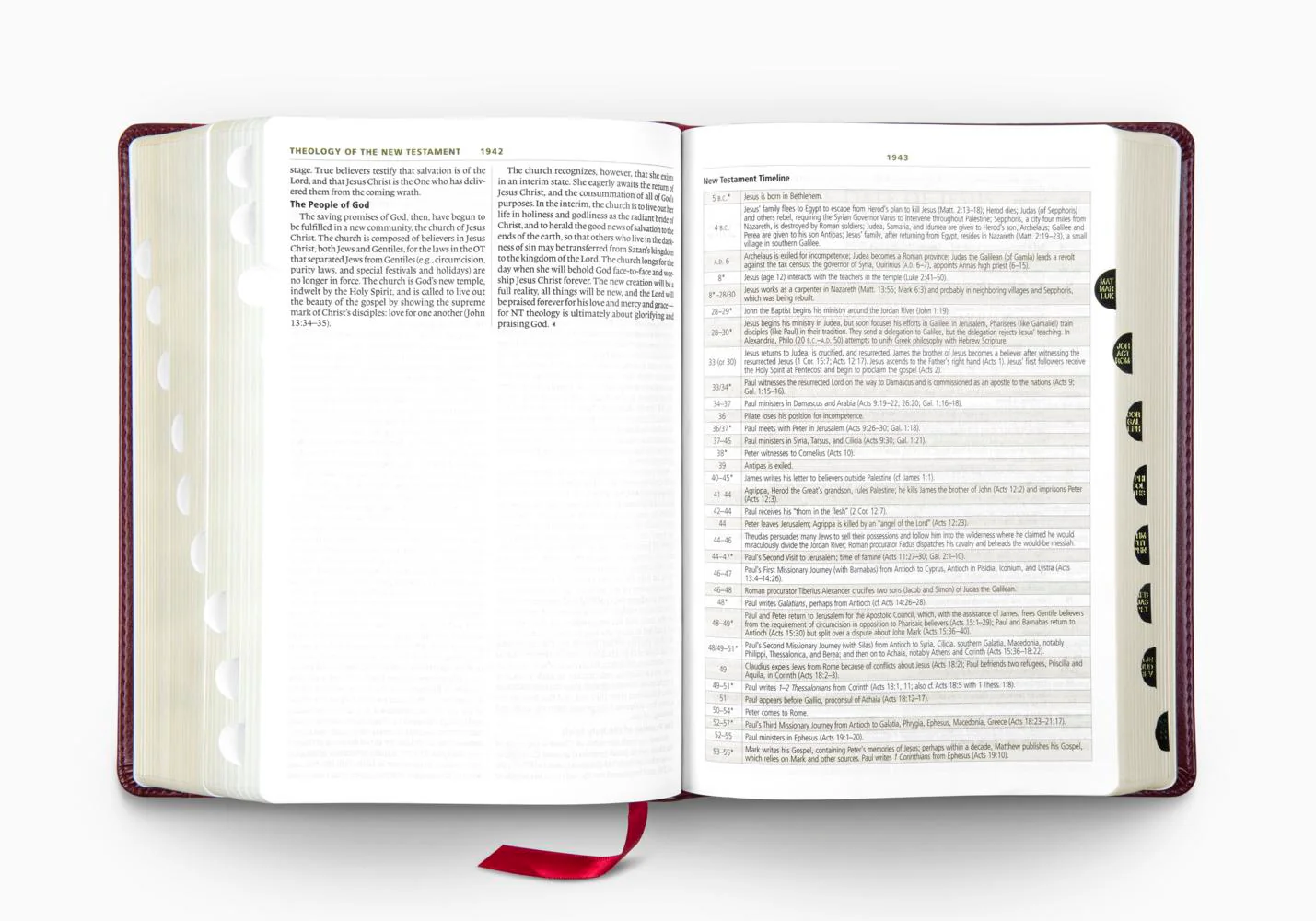 ESV Study Bible, Large Print (Trutone, Mahogany, Trellis Design, Indexed) - Image 4