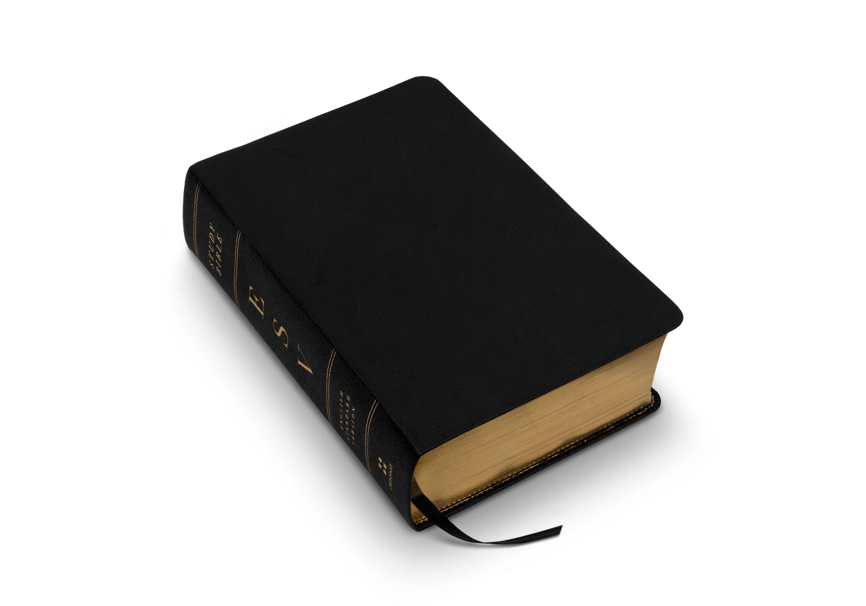 ESV Study Bible, Personal Size (Black, Genuine Leather) - Image 2