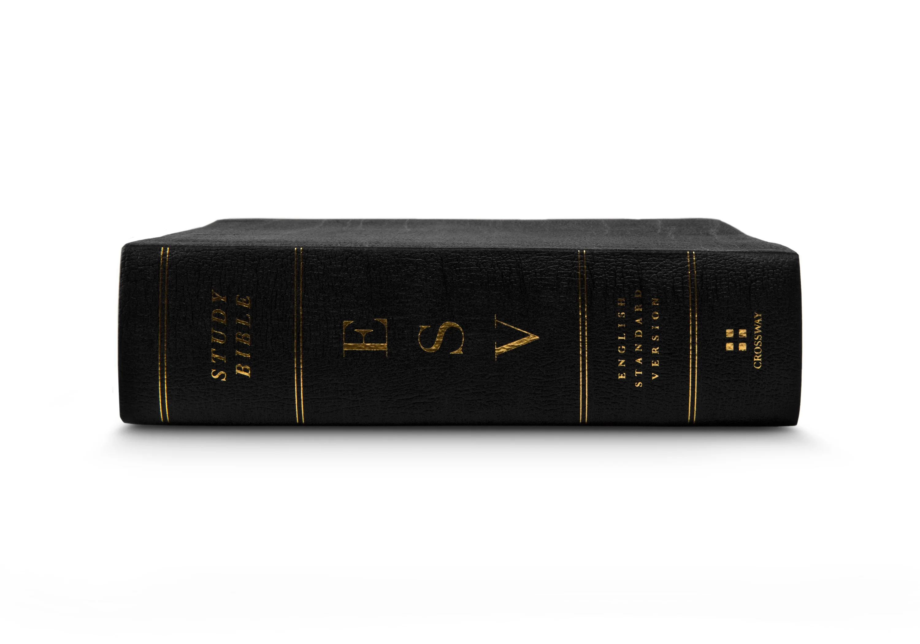 ESV Study Bible, Personal Size (Black, Genuine Leather) - Image 3