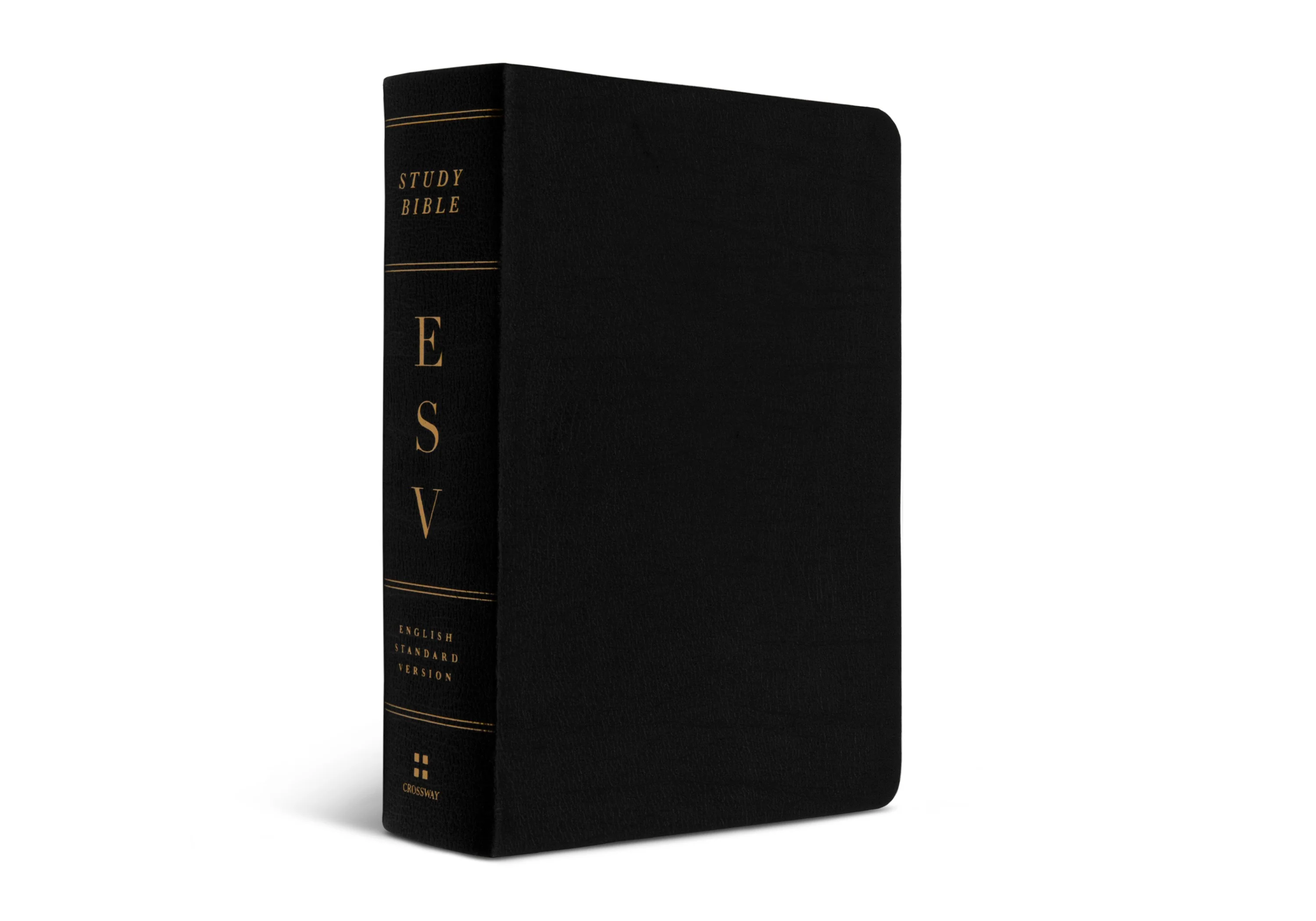 ESV Study Bible, Personal Size (Black, Genuine Leather) - Image 4