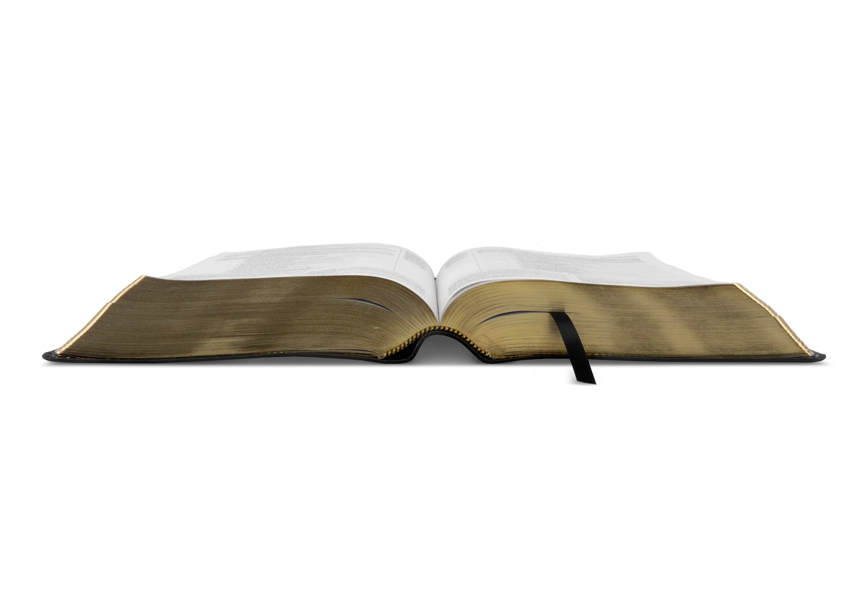 ESV Study Bible, Personal Size (Black, Genuine Leather) - Image 5
