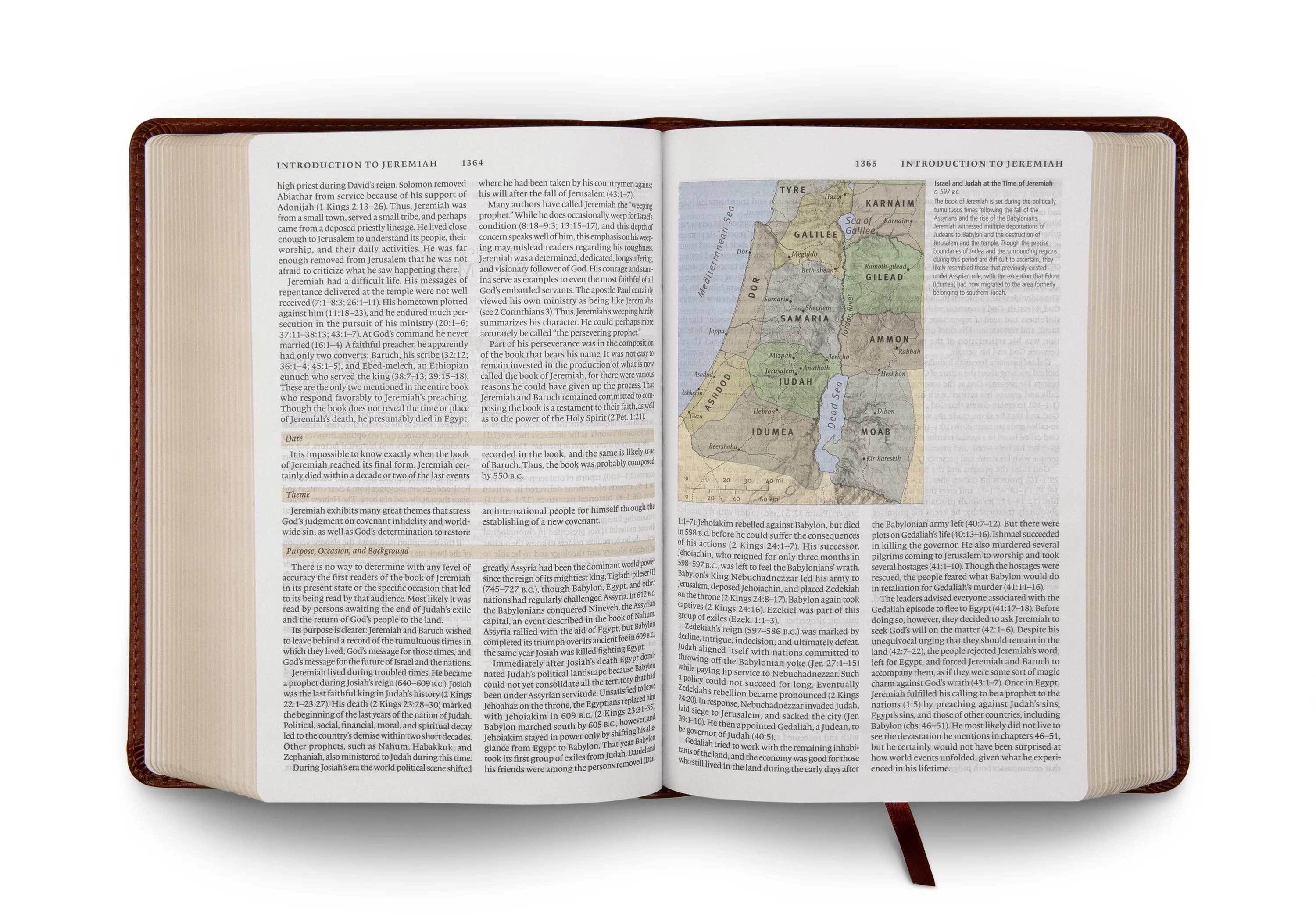 ESV Study Bible, Personal Size (TruTone, Saddle, Ornament Design) - Image 3