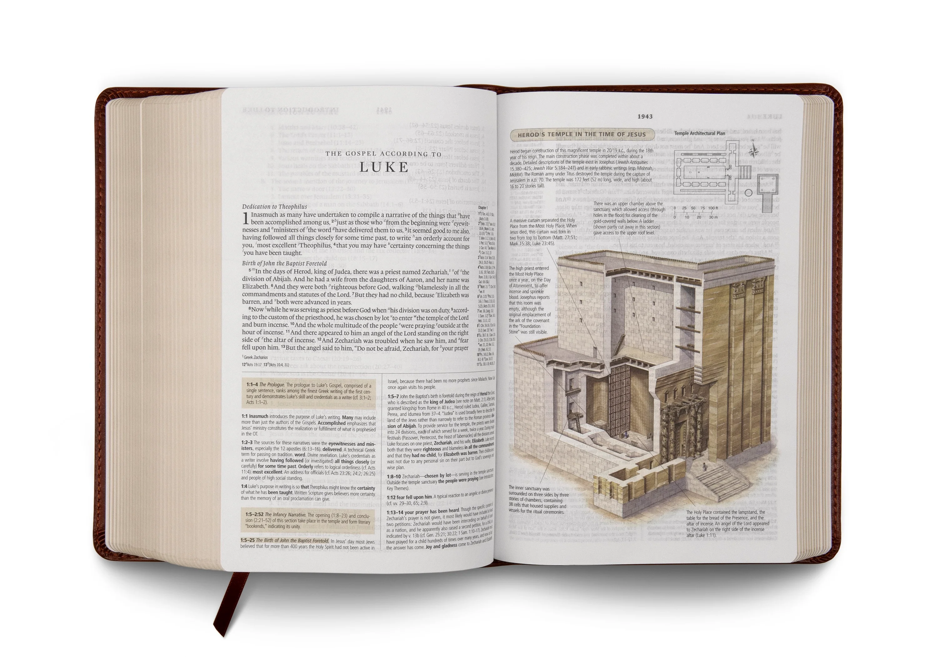 ESV Study Bible, Personal Size (TruTone, Saddle, Ornament Design) - Image 4