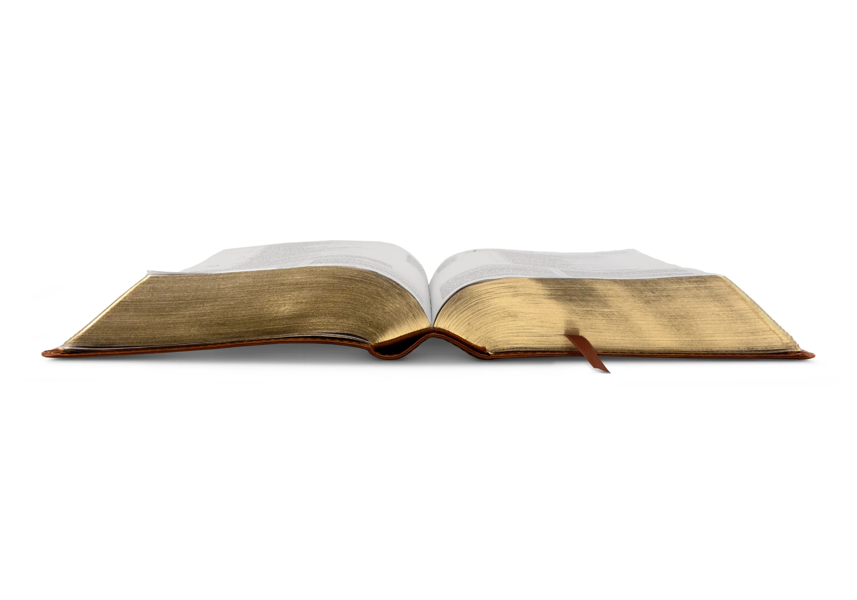 ESV Study Bible, Personal Size (TruTone, Saddle, Ornament Design) - Image 7