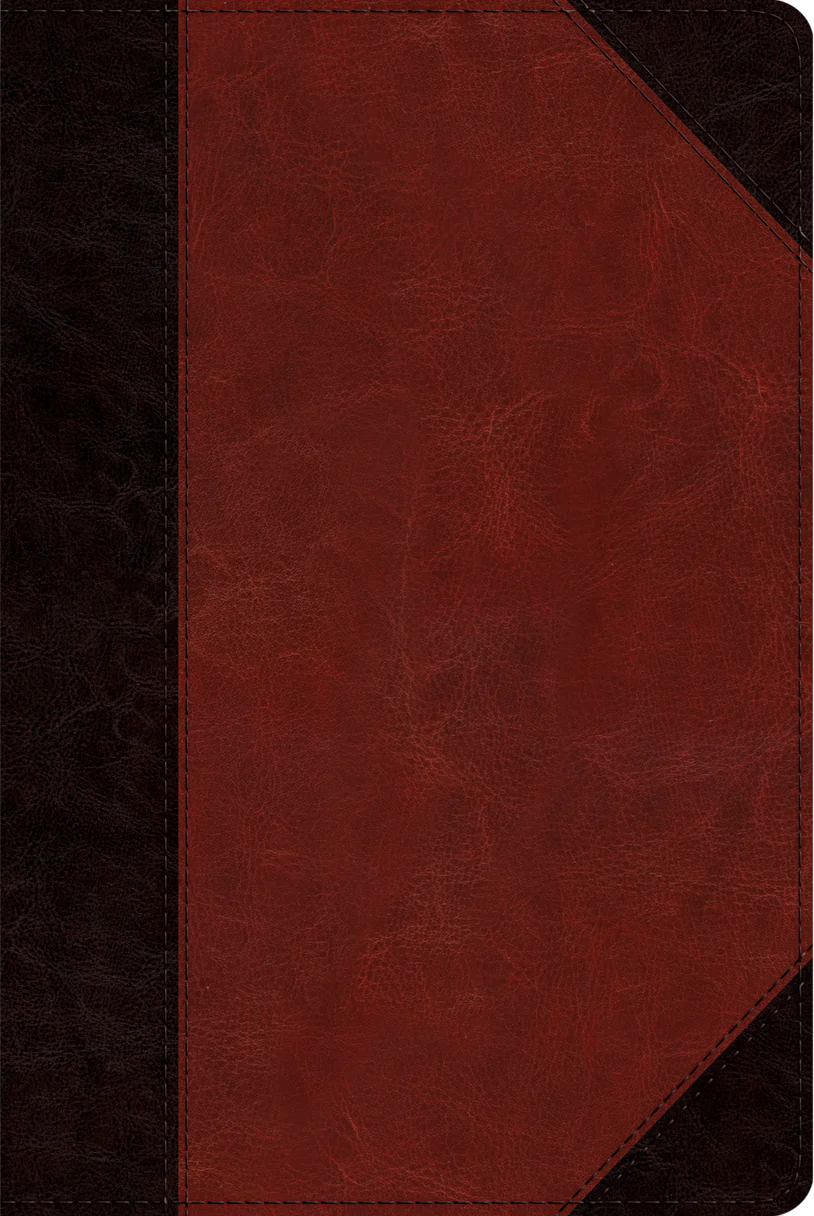 ESV Study Bible, Personal Size (Trutone, Brown/Cordovan, Portfolio Design)