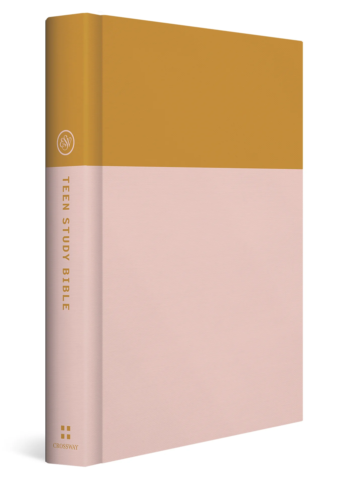 ESV Teen Study Bible (Hardcover, Desert Sun) - Image 2