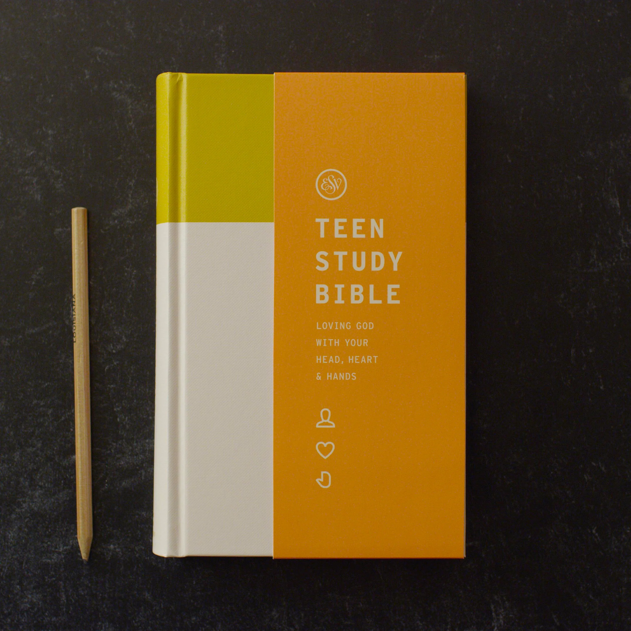 ESV Teen Study Bible (Hardcover, Desert Sun) - Image 3