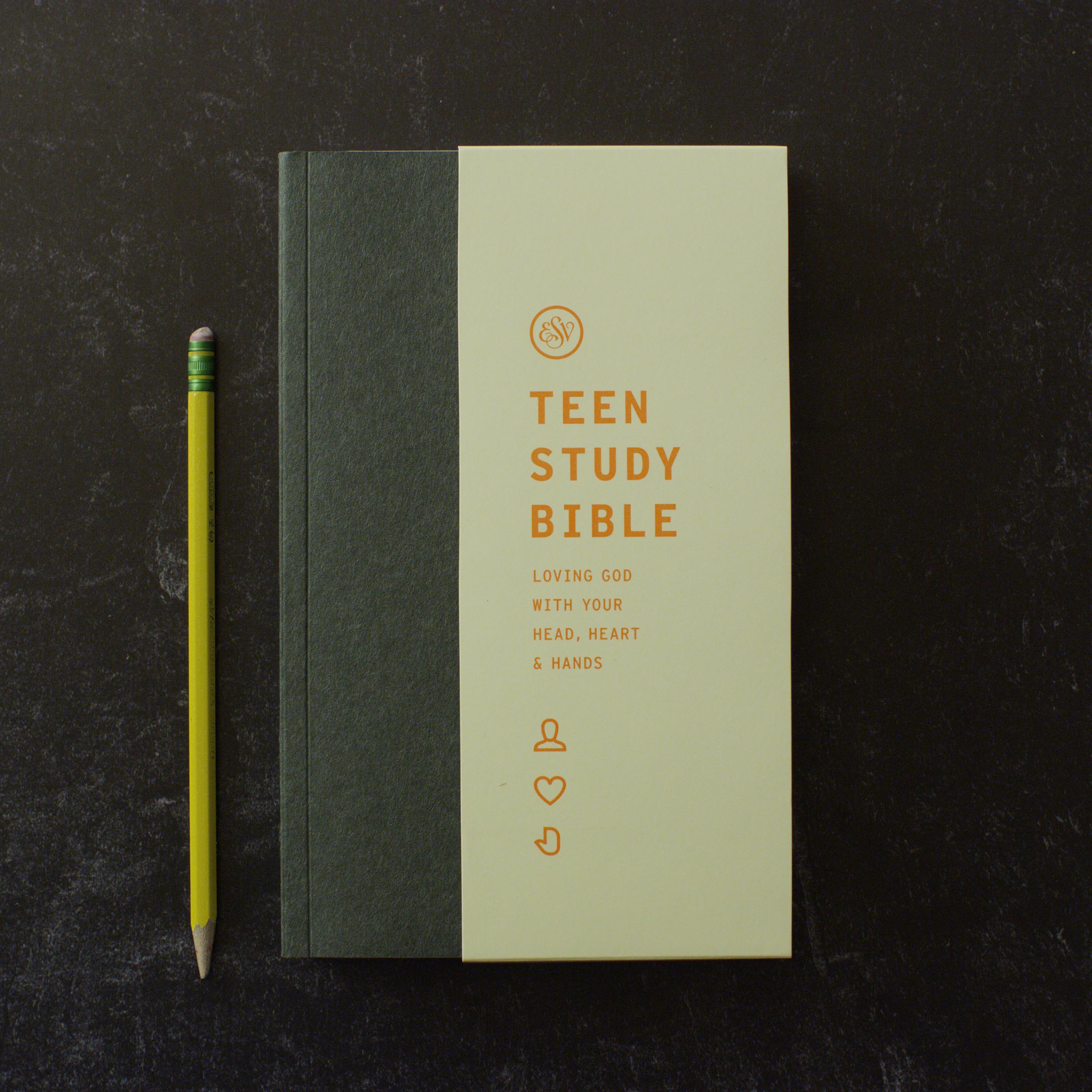 ESV Teen Study Bible (Paperback) - Image 3