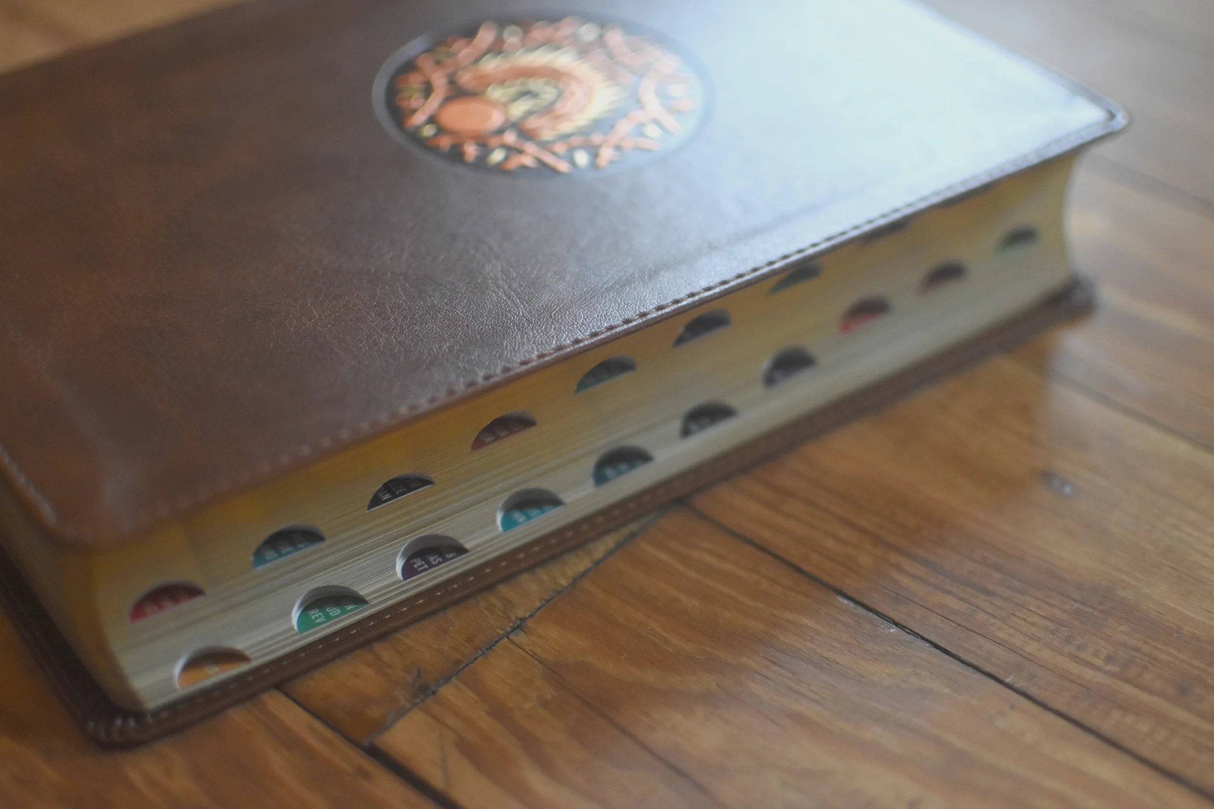 ESV the Biggest Story Holy Bible for Kids (Trutone, Brown, Living Hope Design, Thumb Indexed) - Image 5