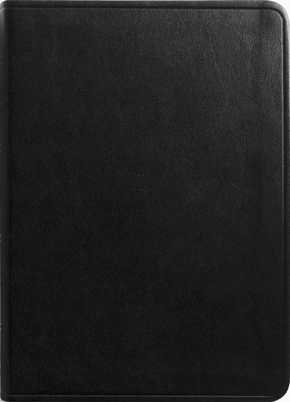 ESV Value Large Print Compact Bible (Trutone, Black)