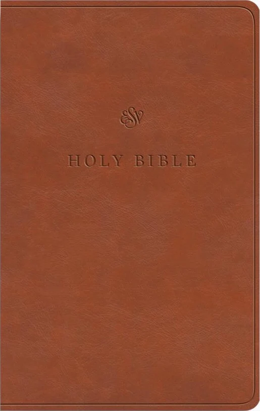 ESV Value Thinline Bible (Trutone, English Saddle)