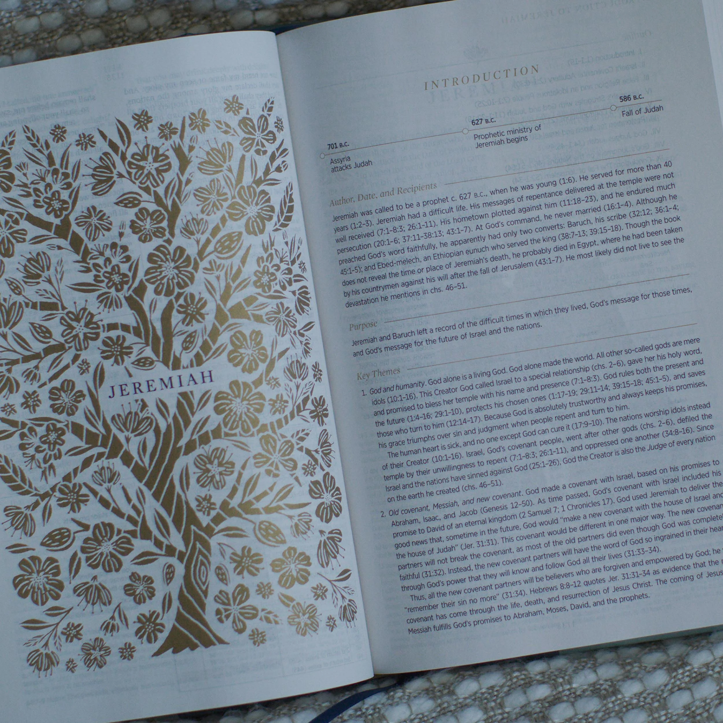 ESV Women's Study Bible (Hardcover) - Image 5