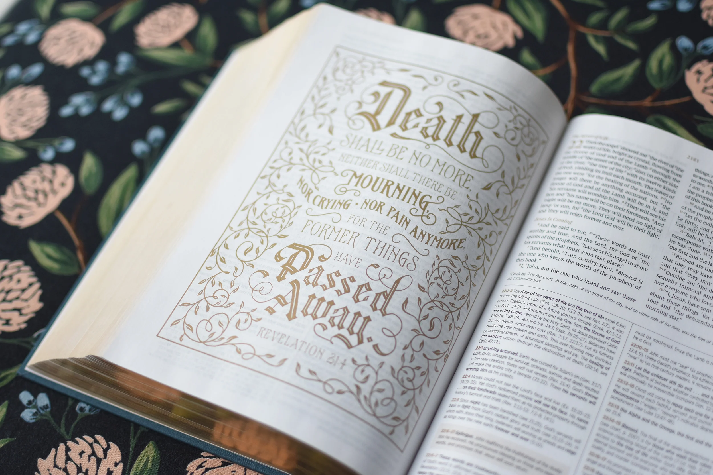 ESV Women's Study Bible (Cloth Over Board, Dark Teal) - Image 4