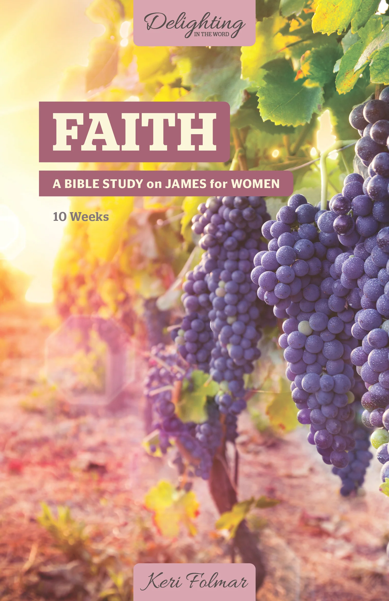 Faith: A Bible Study on James for Women