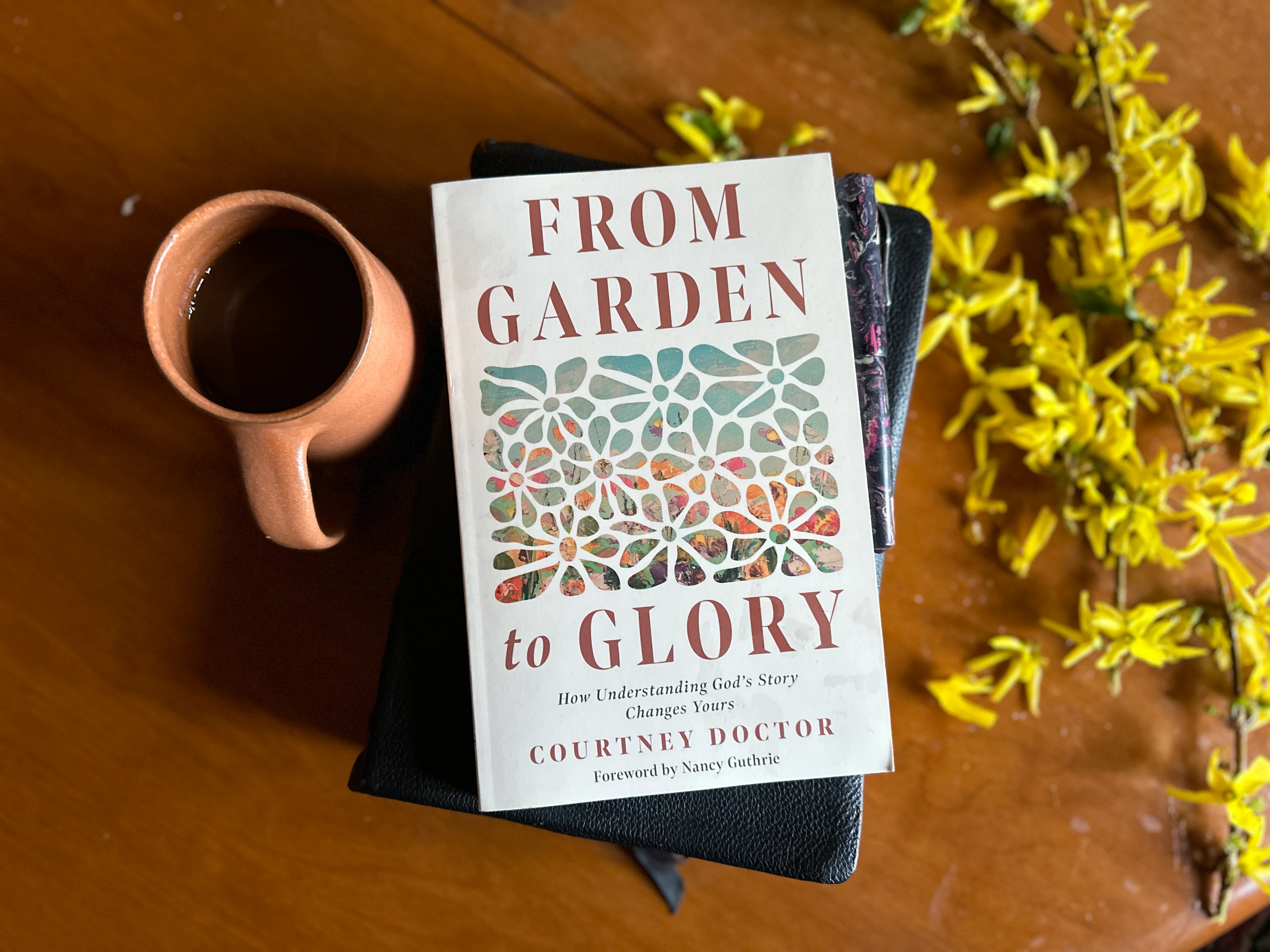 From Garden to Glory: How Understanding God's Story Changes Yours - Image 3