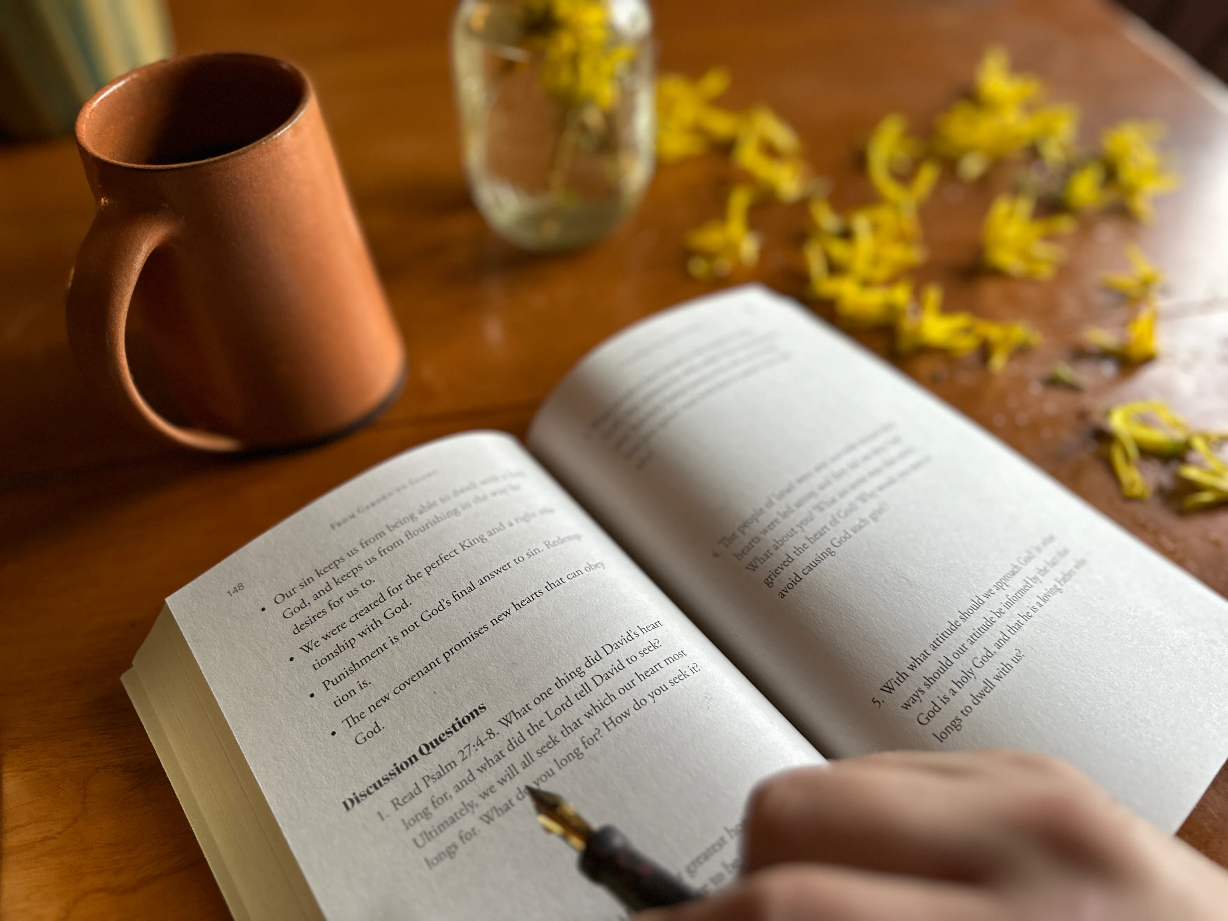 From Garden to Glory: How Understanding God's Story Changes Yours - Image 4