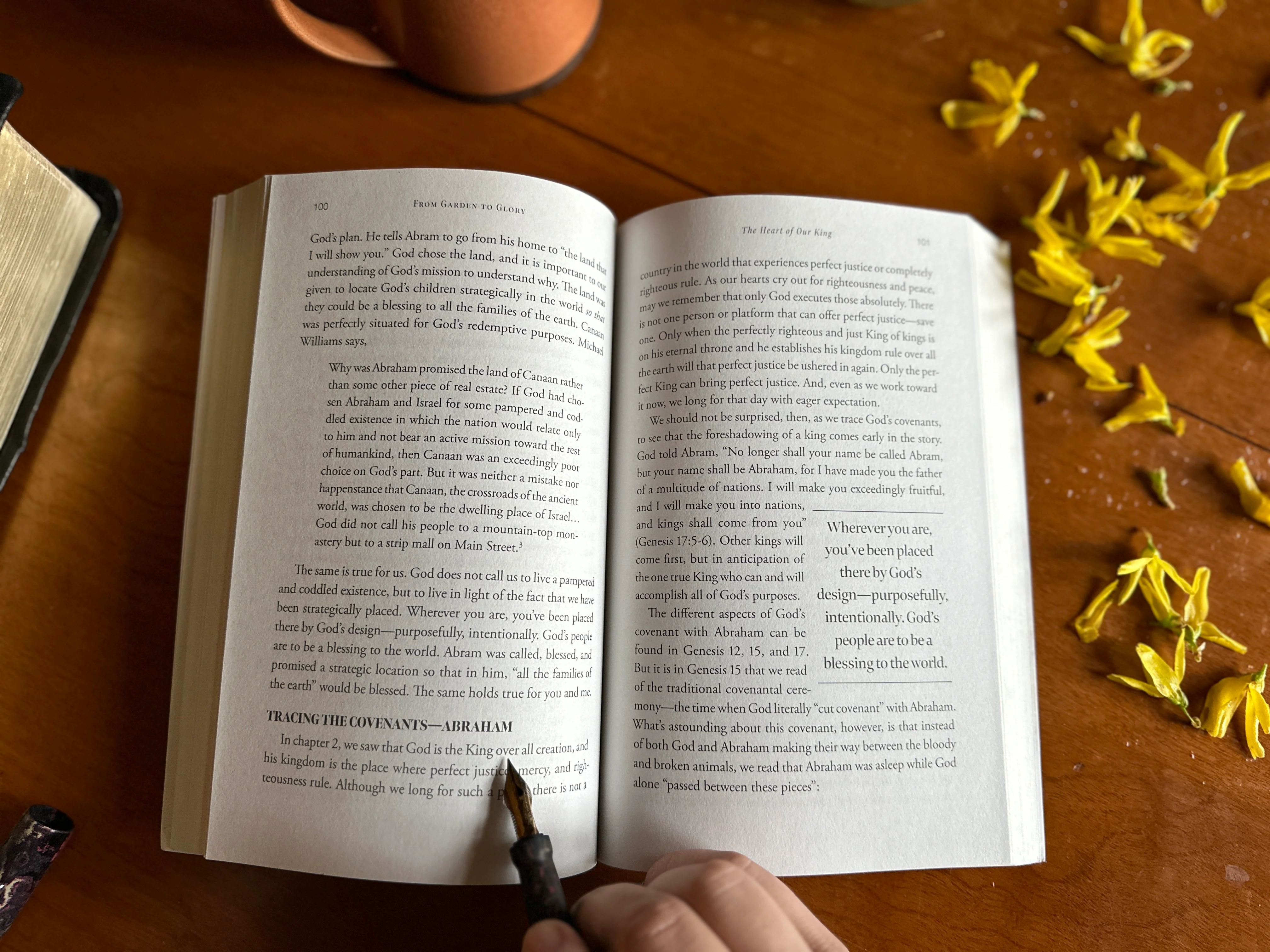 From Garden to Glory: How Understanding God's Story Changes Yours - Image 5