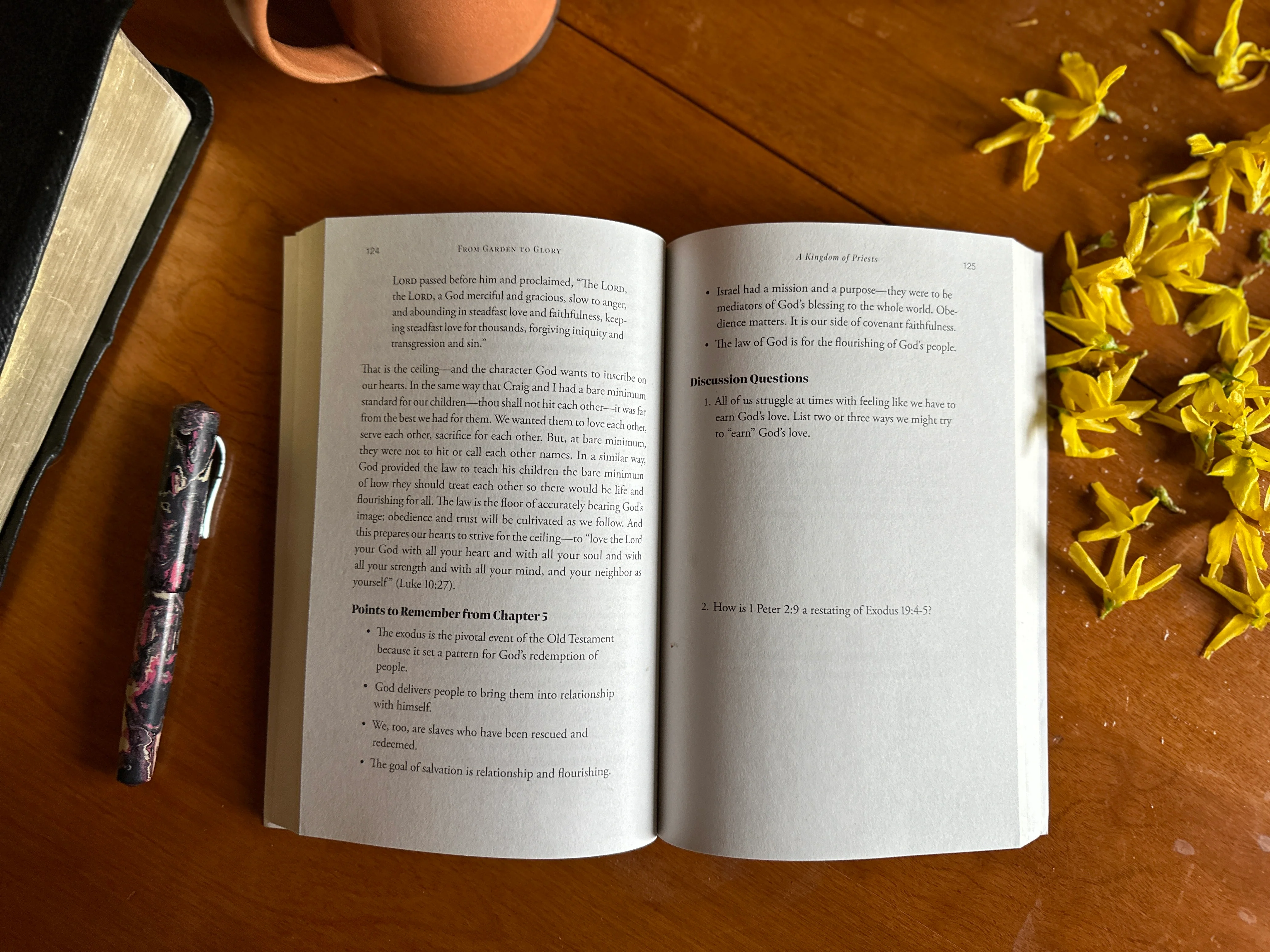 From Garden to Glory: How Understanding God's Story Changes Yours - Image 6