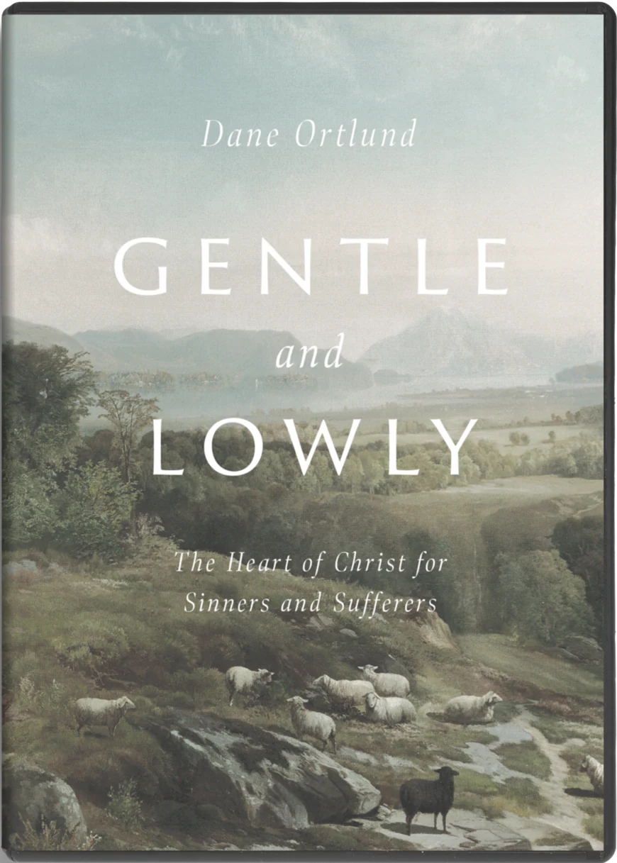 Gentle and Lowly Video Study