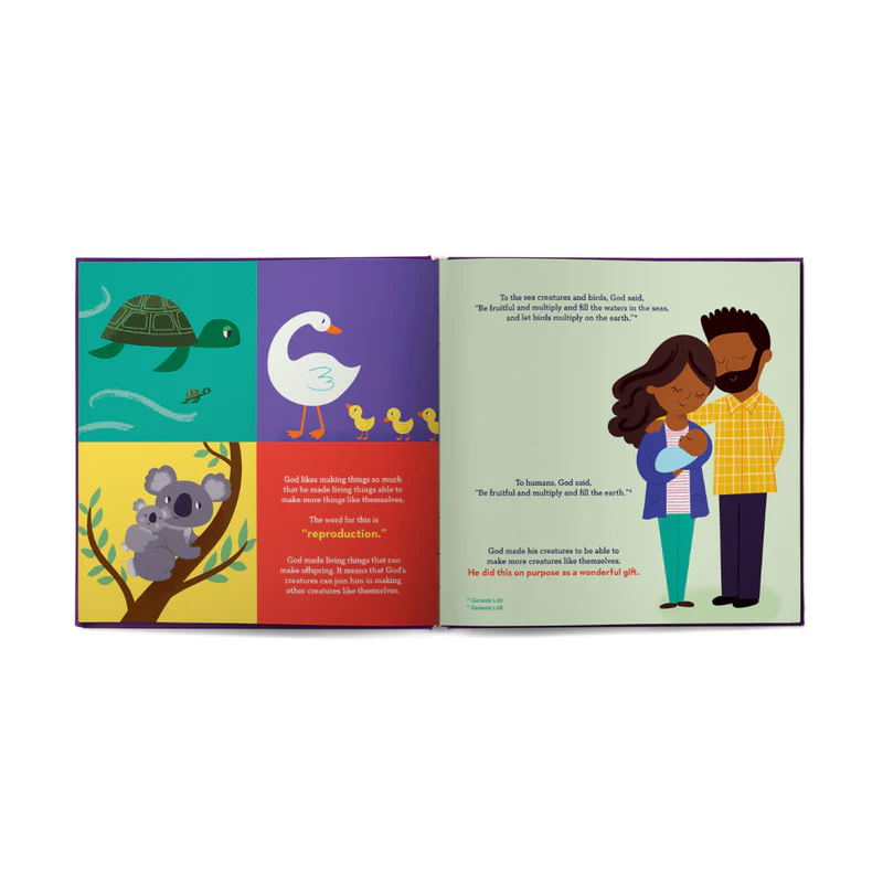 God Made Babies: Helping Parents Answer the Baby Question (God Made Me) - Image 3