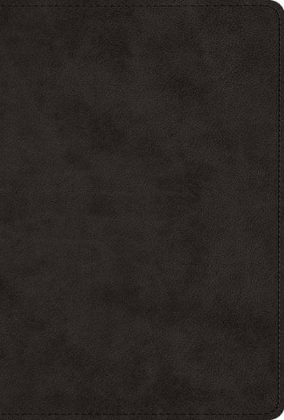 The Greek New Testament, Produced at Tyndale House, Cambridge (TruTone, Black)
