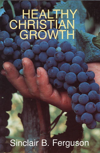 Healthy Christian Growth (Banner Booklet) - Image 2