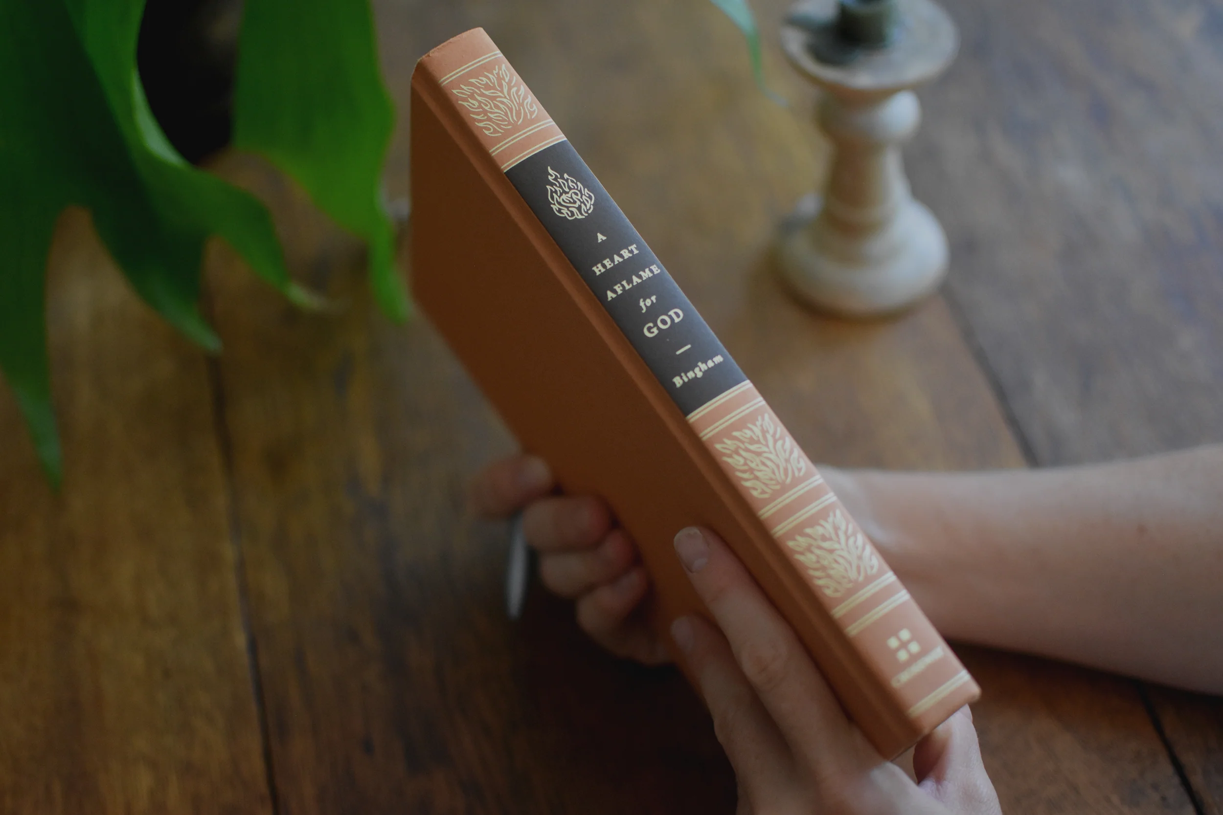 Heart Aflame for God: A Reformed Approach to Spiritual Formation - Image 6