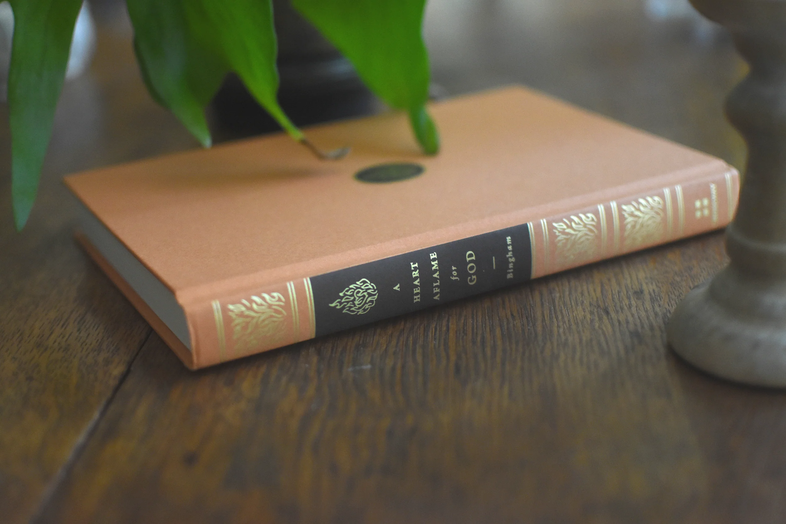Heart Aflame for God: A Reformed Approach to Spiritual Formation - Image 7