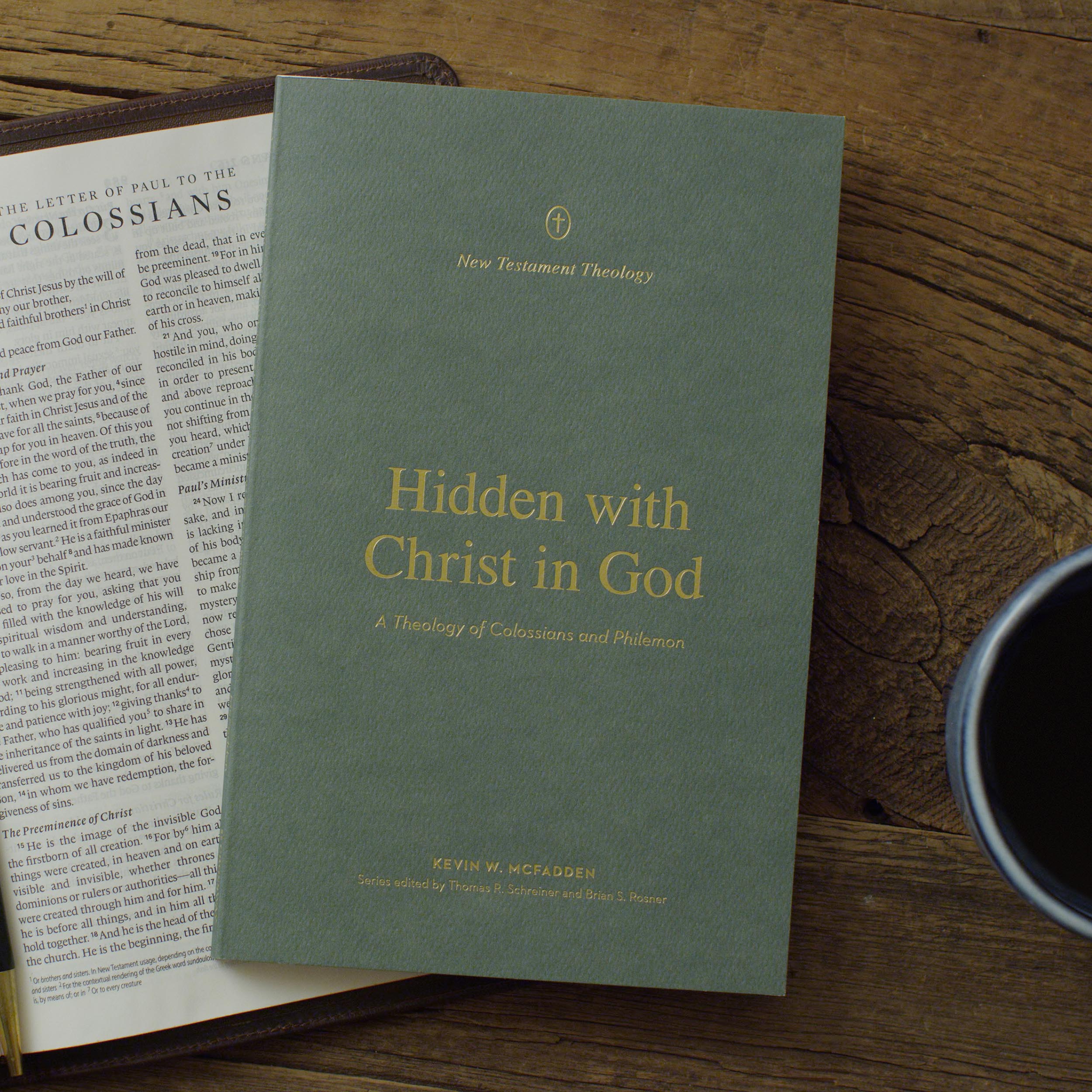 Hidden with Christ in God: A Theology of Colossians and Philemon (New Testament Theology) - Image 2