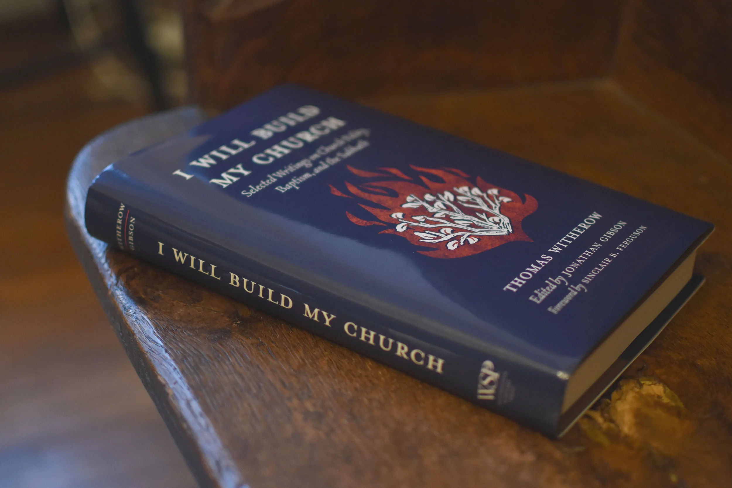I Will Build My Church: Selected Writings on Church Polity, Baptism, and the Sabbath - Image 8