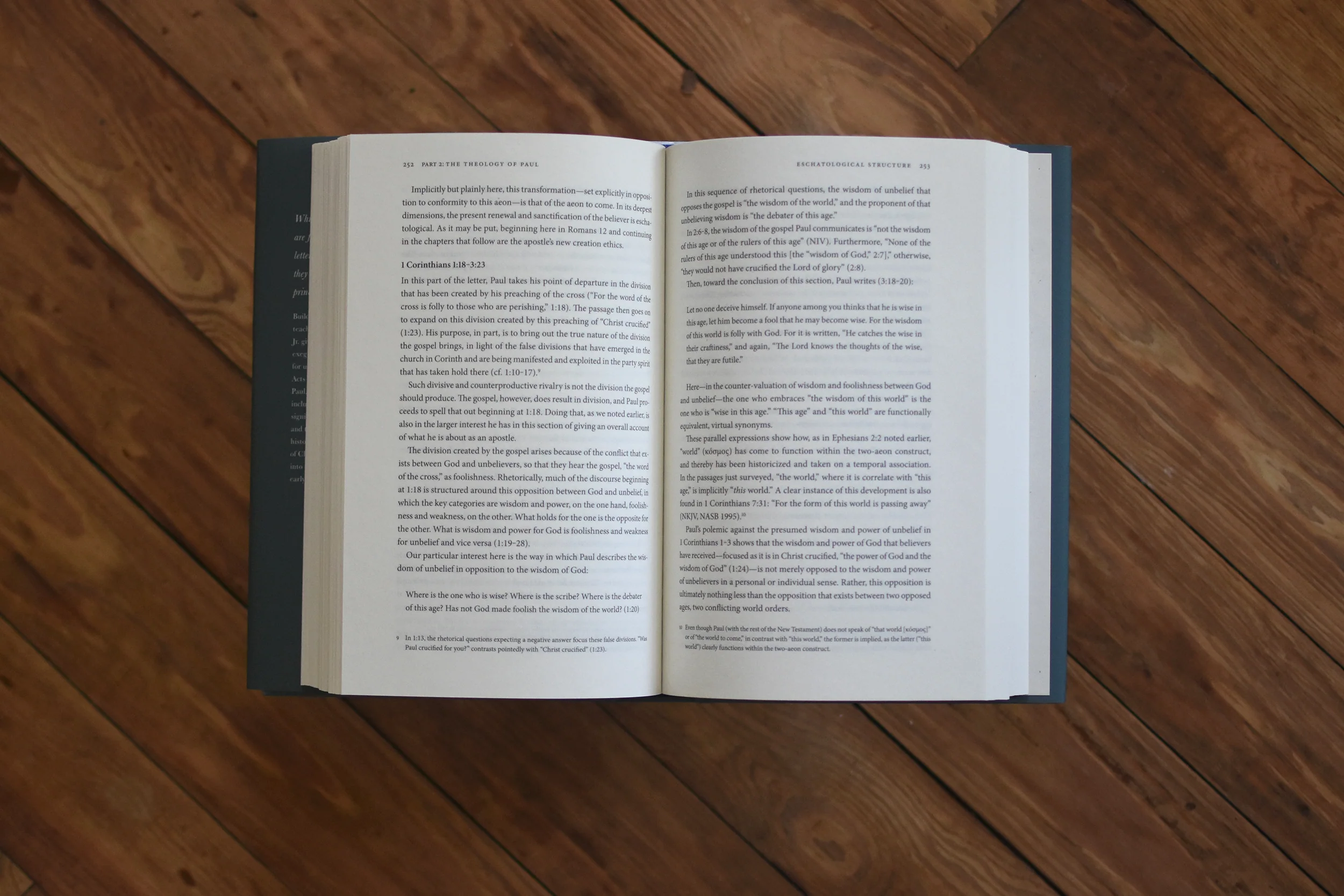 In the Fullness of Time: An Introduction to the Biblical Theology of Acts and Paul - Image 3