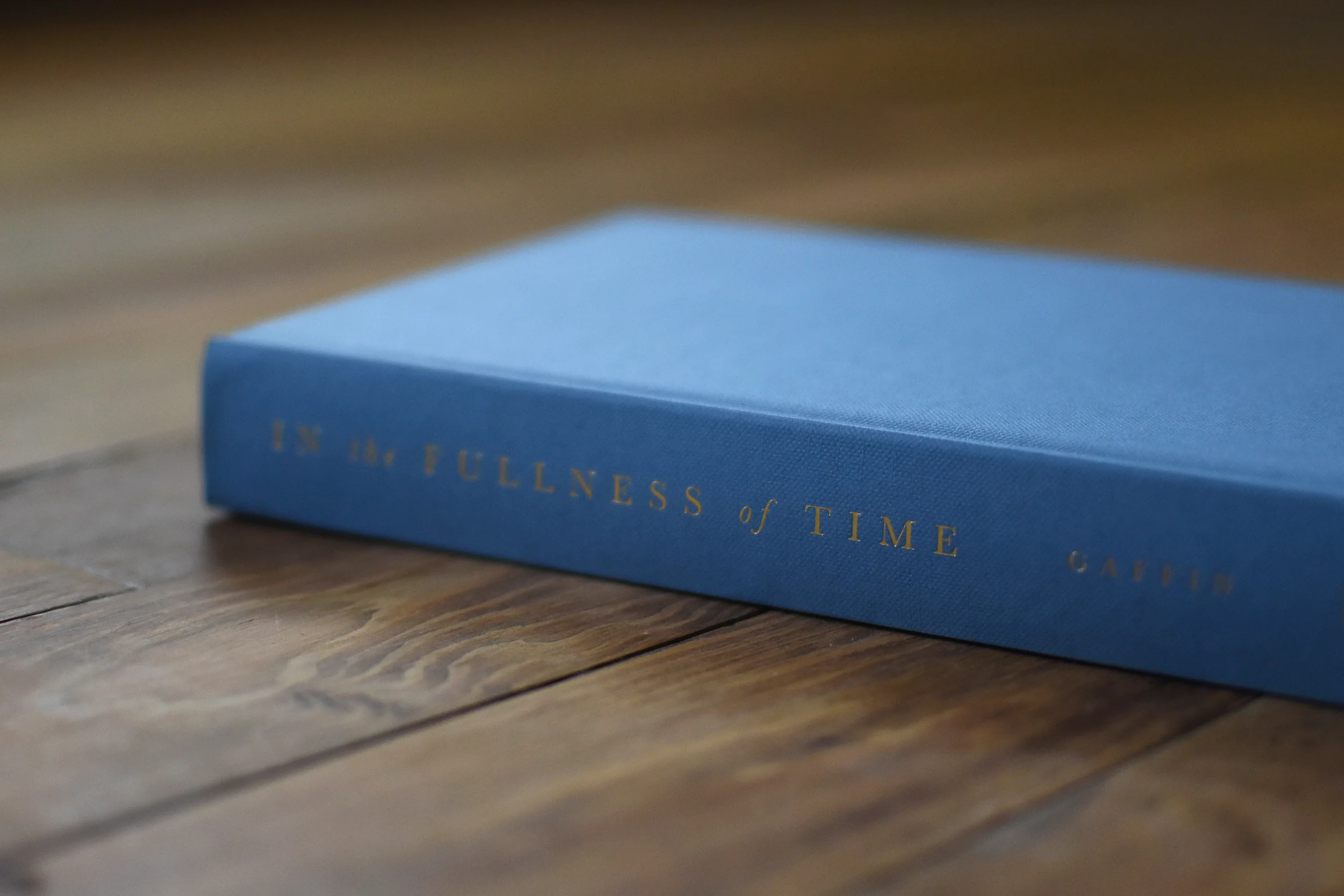 In the Fullness of Time: An Introduction to the Biblical Theology of Acts and Paul - Image 4