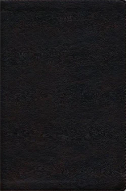 In the Lord I Take Refuge: 150 Daily Devotions Through the Psalms (Gift Edition) - Image 2