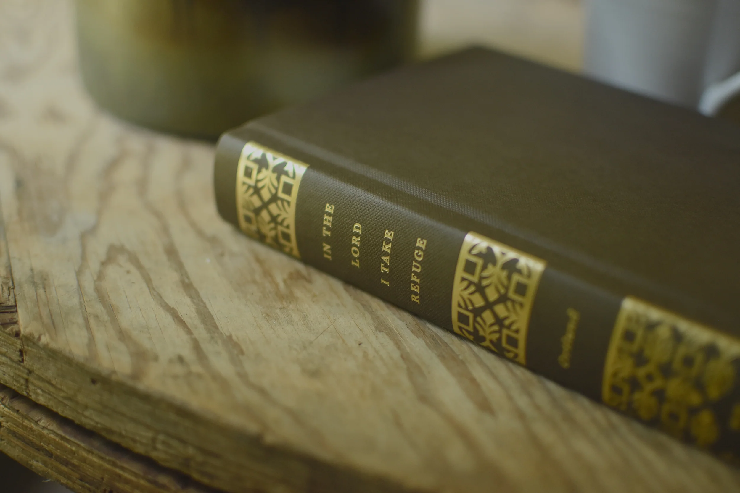 In the Lord I Take Refuge: 150 Daily Devotions Through the Psalms - Image 4