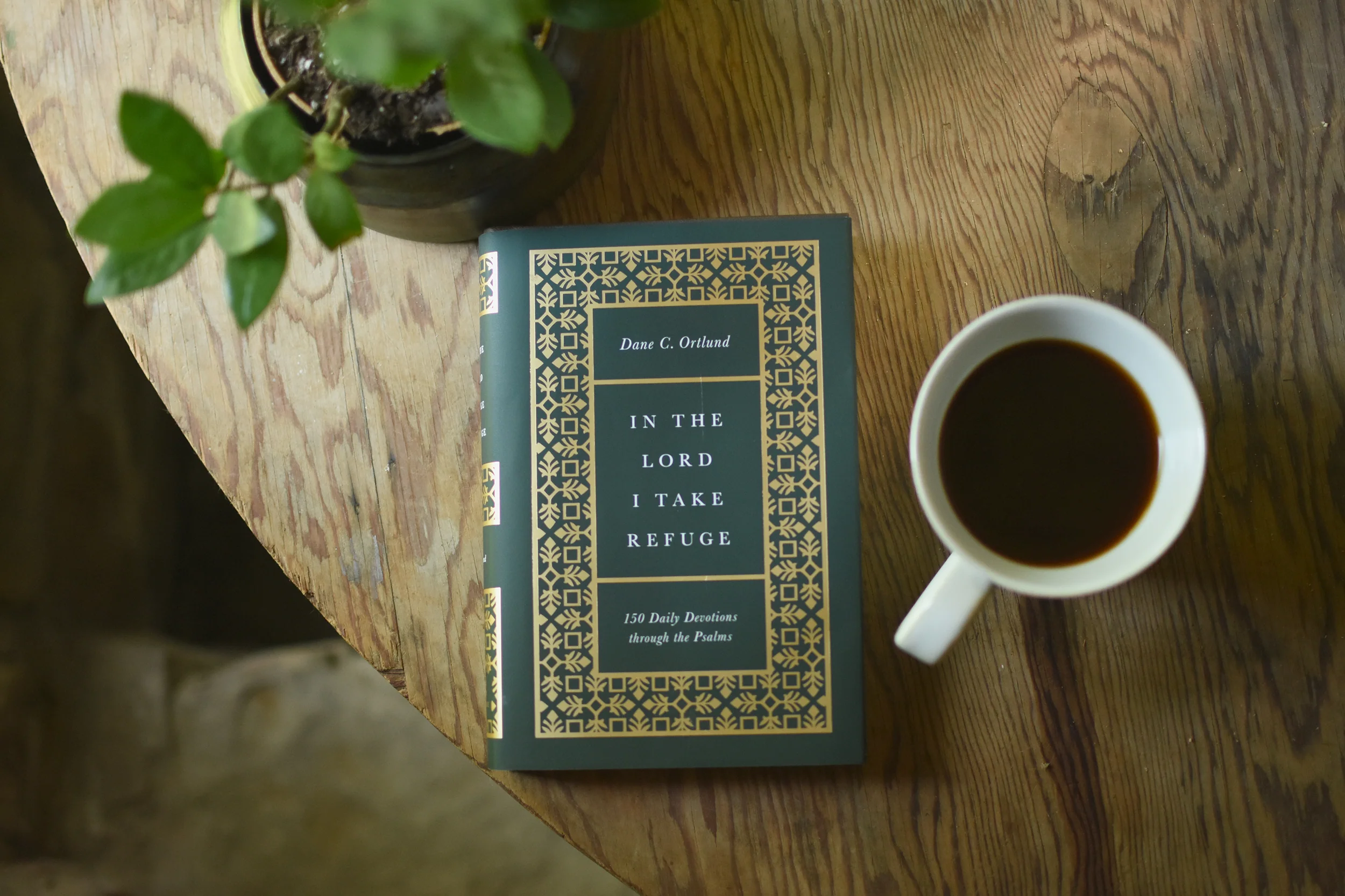 In the Lord I Take Refuge: 150 Daily Devotions Through the Psalms - Image 5