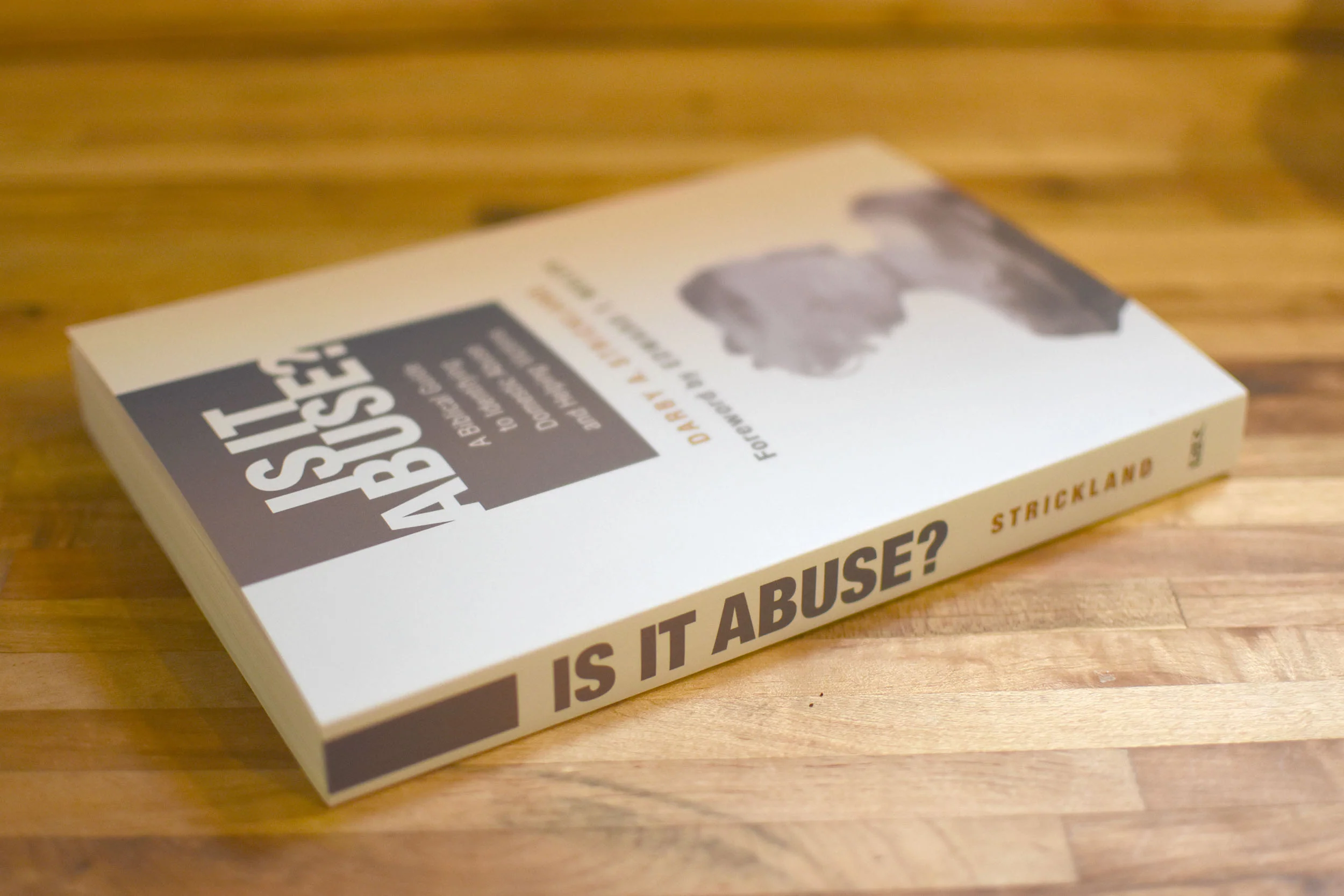 Is It Abuse?: A Biblical Guide to Identifying Domestic Abuse and Helping Victims - Image 2