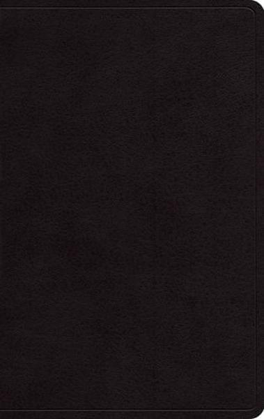 ESV Large Print Personal Size Bible (Genuine Leather, Black)