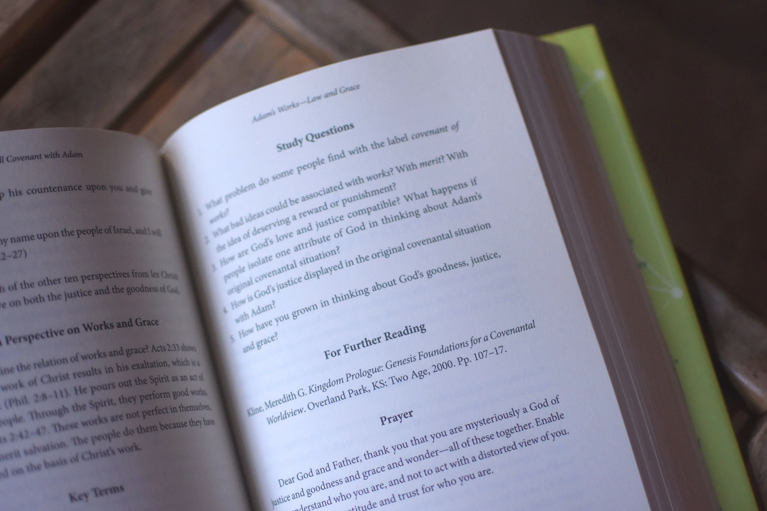 Making Sense of Man: Using Biblical Perspectives to Develop a Theology of Humanity - Image 3