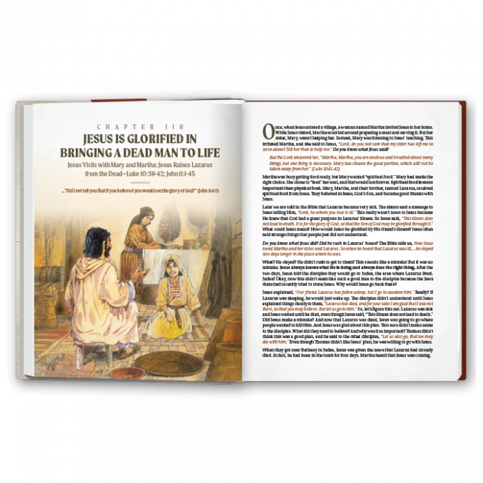 More Than A Story: New Testament - Image 2