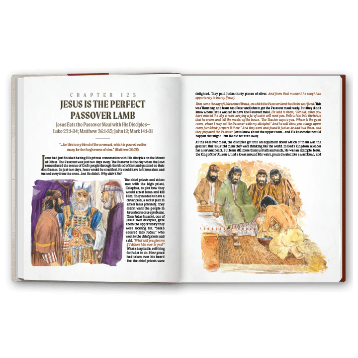 More Than A Story: New Testament - Image 3