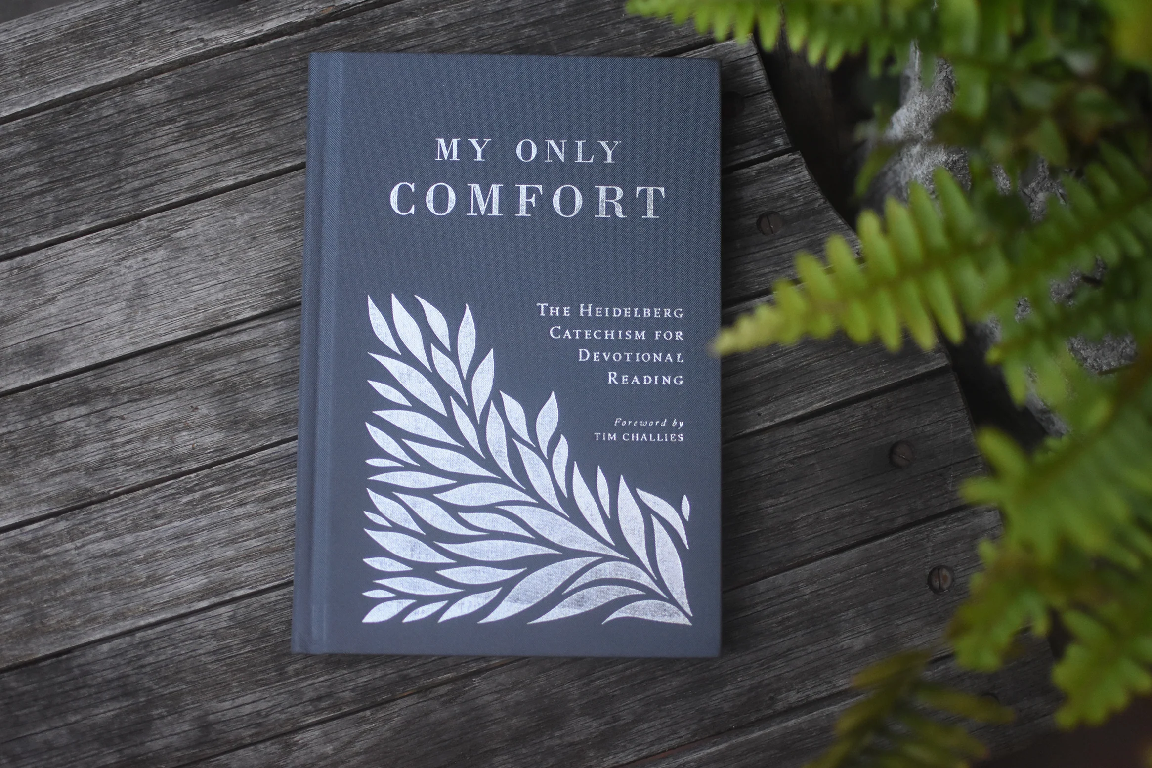 My Only Comfort: The Heidelberg Catechism for Devotional Reading - Image 5
