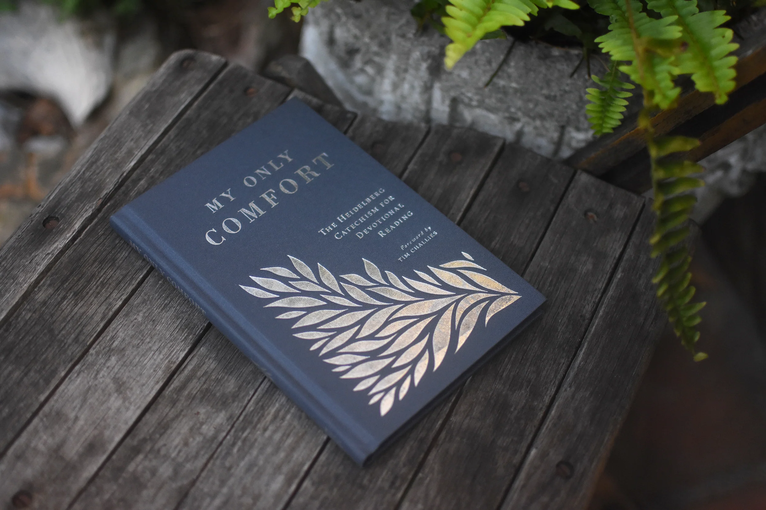 My Only Comfort: The Heidelberg Catechism for Devotional Reading - Image 6