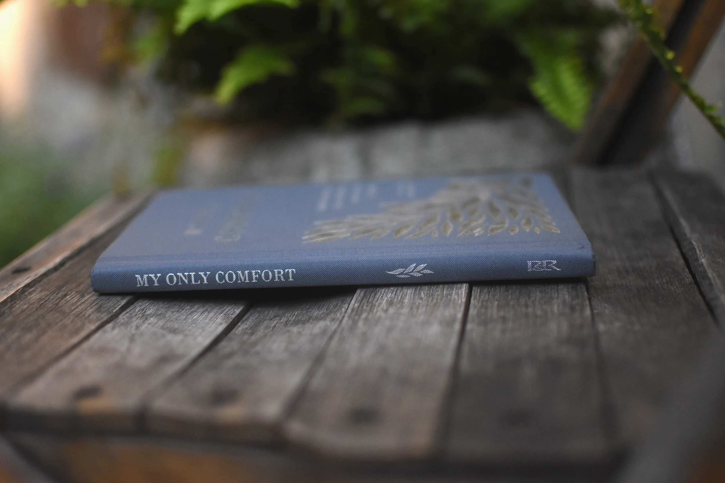 My Only Comfort: The Heidelberg Catechism for Devotional Reading - Image 7