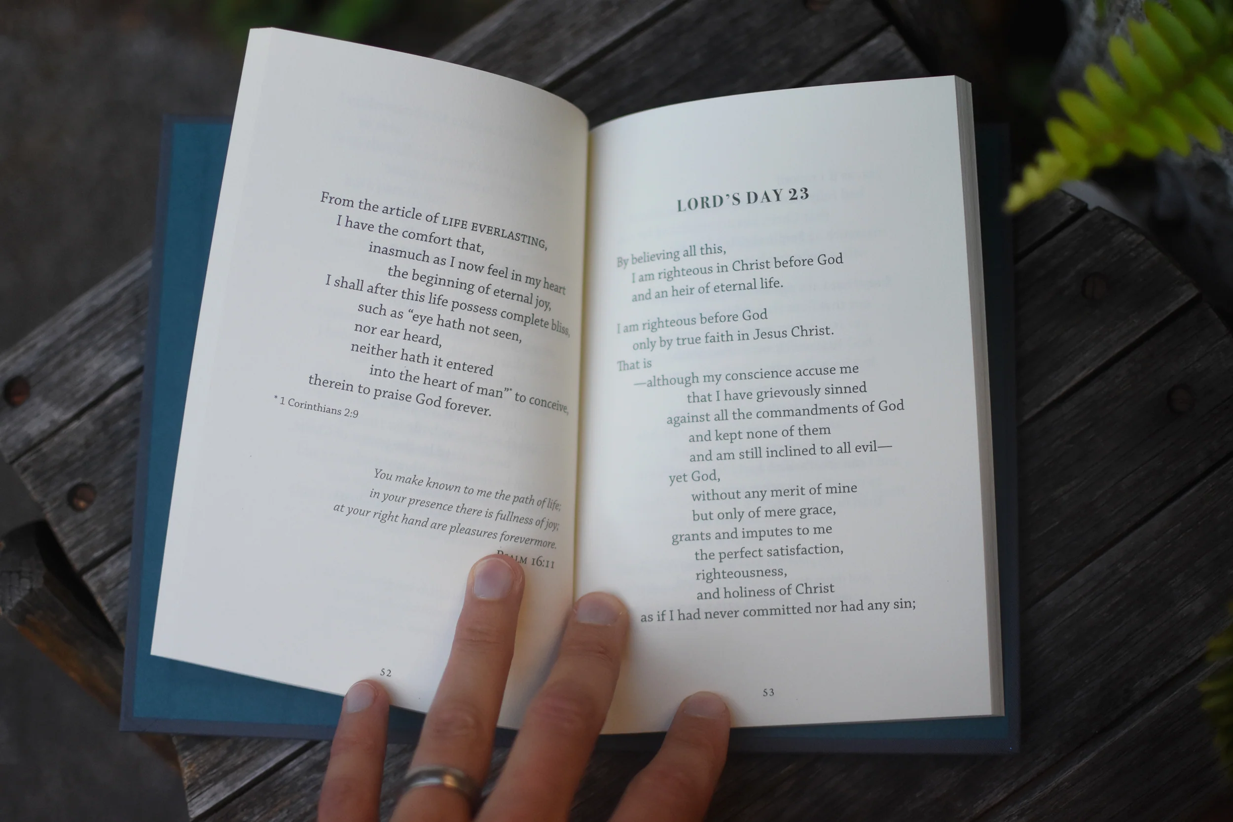 My Only Comfort: The Heidelberg Catechism for Devotional Reading - Image 8