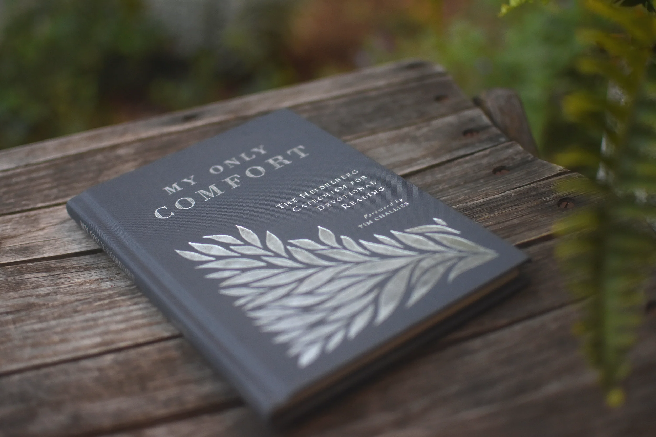 My Only Comfort: The Heidelberg Catechism for Devotional Reading - Image 9