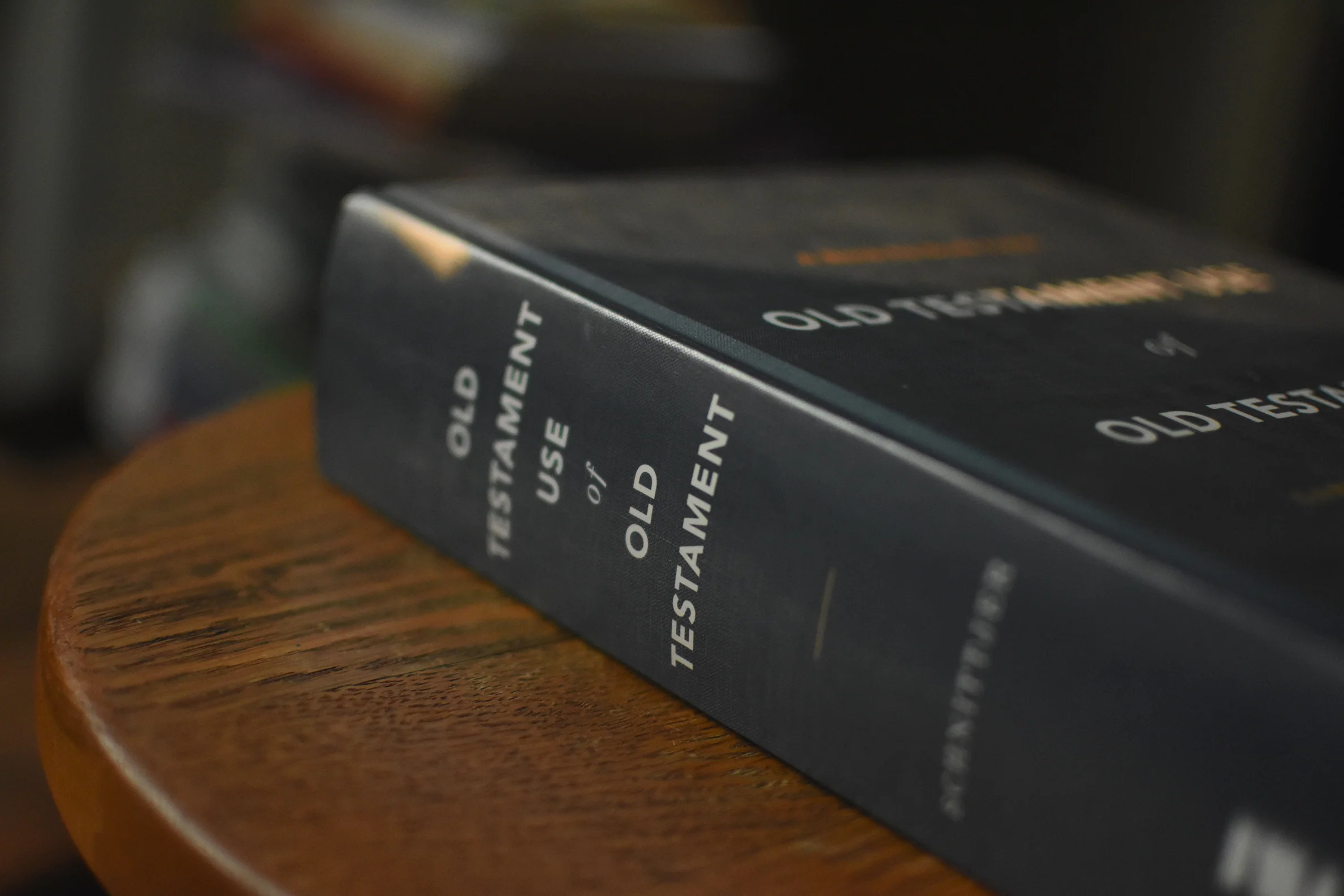 Old Testament Use of Old Testament: A Book-By-Book Guide - Image 2