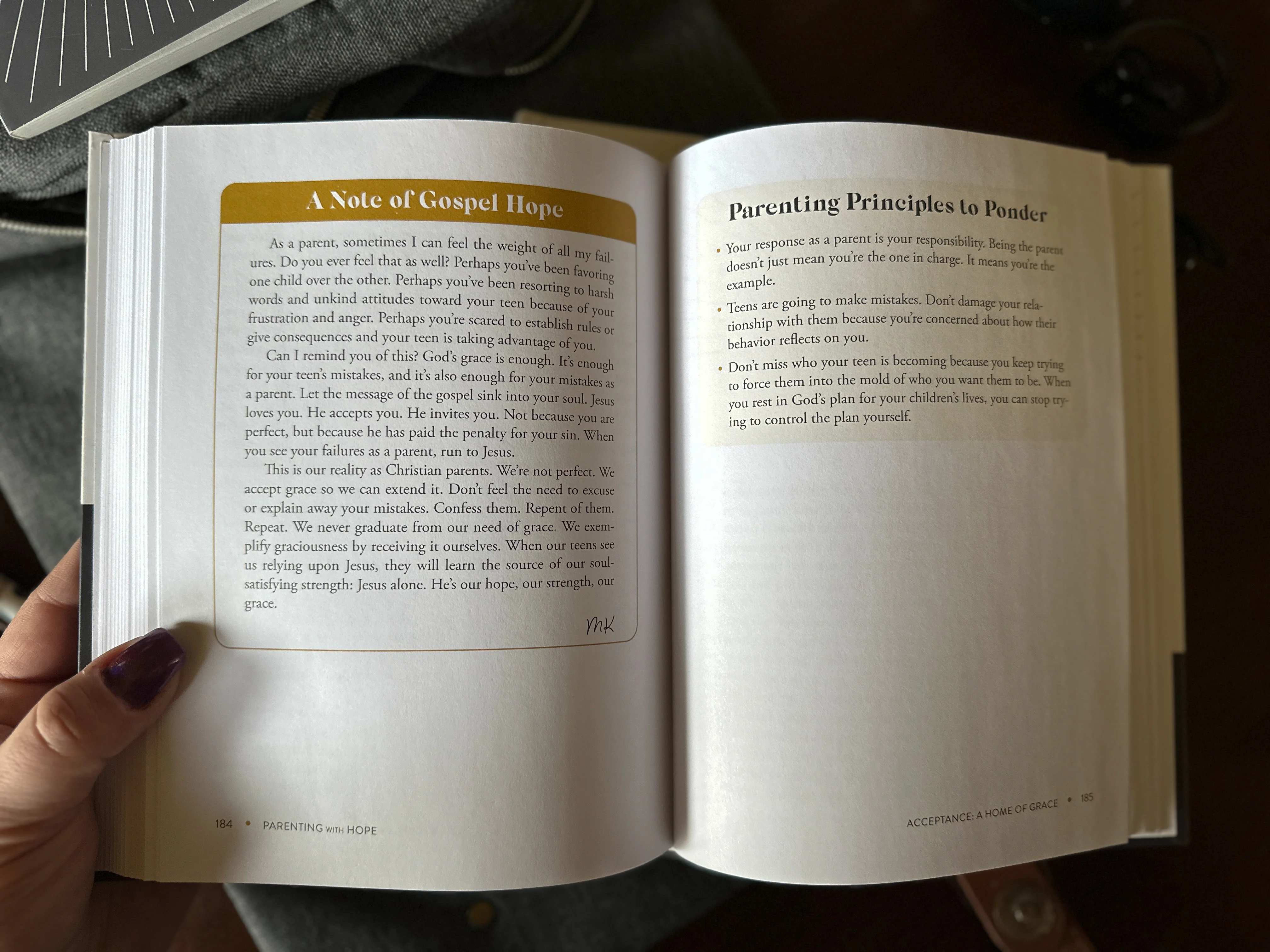 Parenting with Hope: Raising Teens for Christ in a Secular Age - Image 2