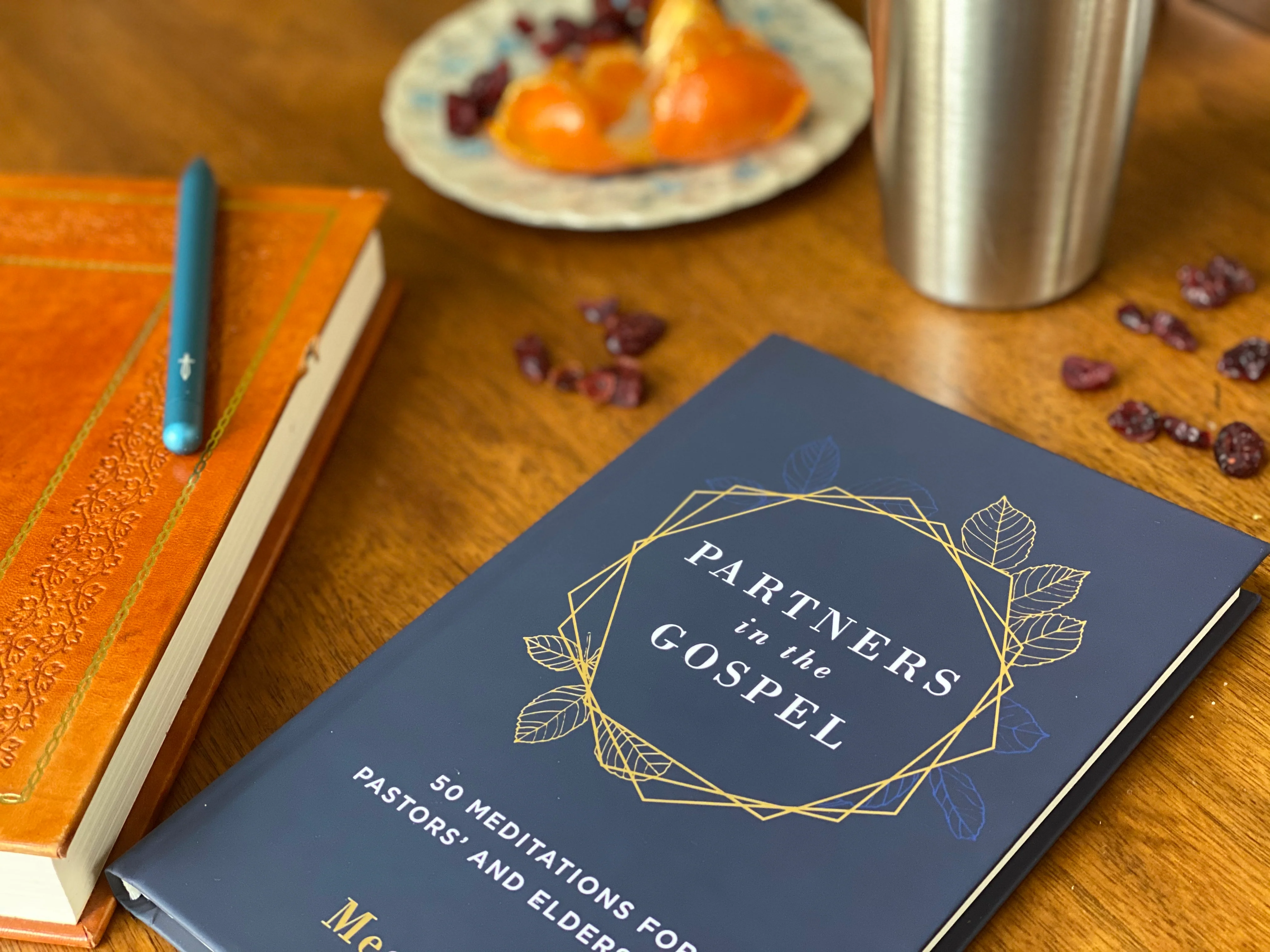 Partners in the Gospel: 50 Meditations for Pastors' and Elders' Wives - Image 2