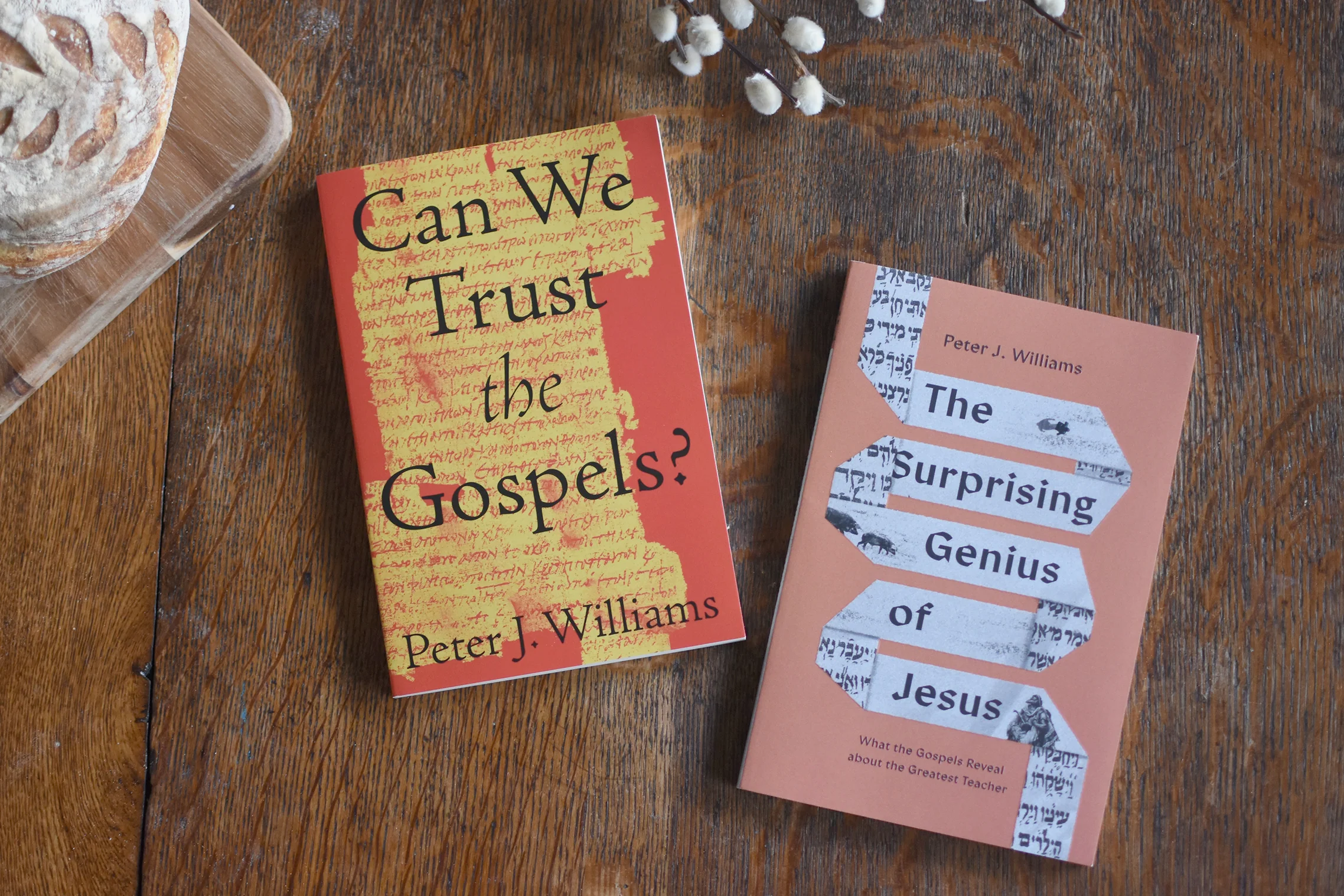 Peter J. Williams Gospels Bundle - Image 3